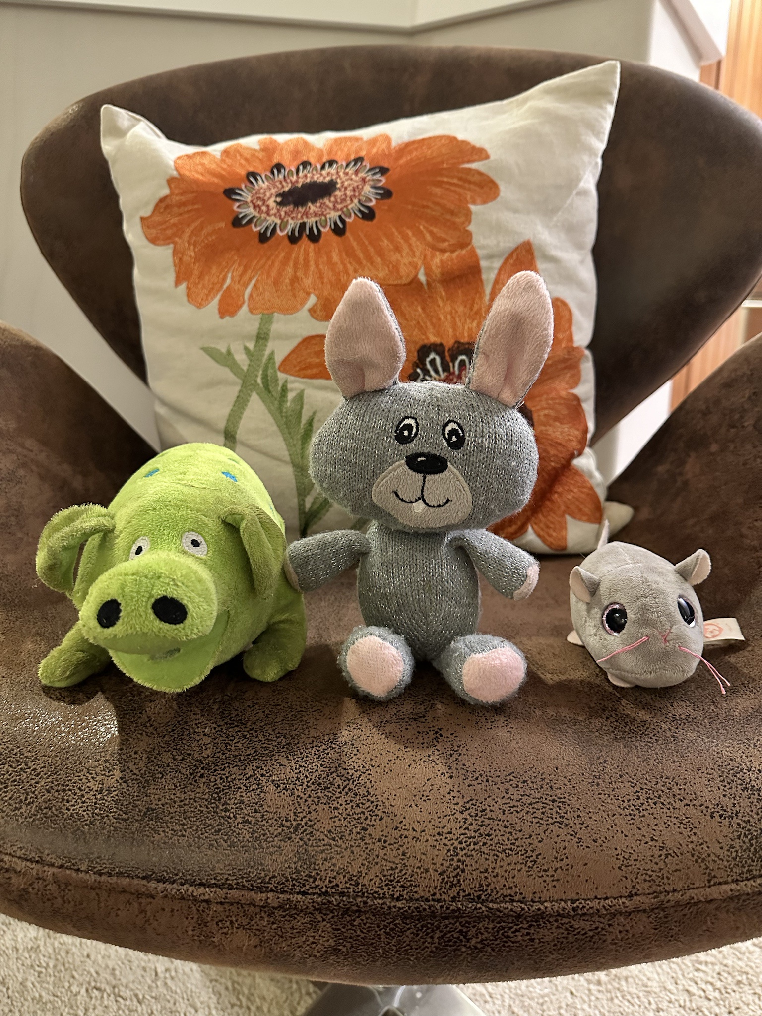 Training Your Toy: A Guide