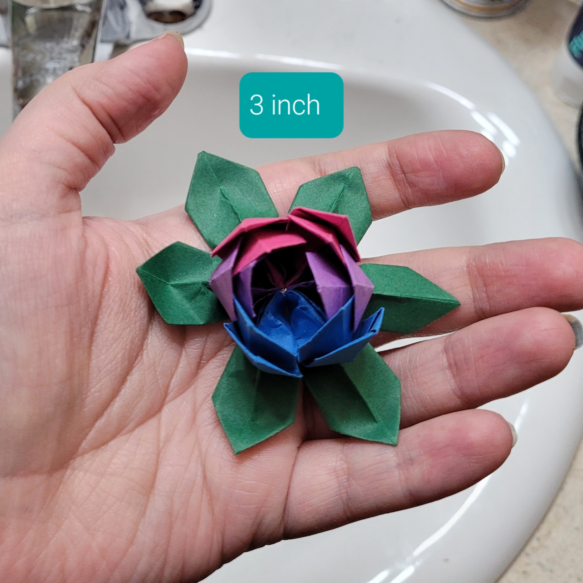 Stunning Bi Flag Flowers: A Prototype Unveiled