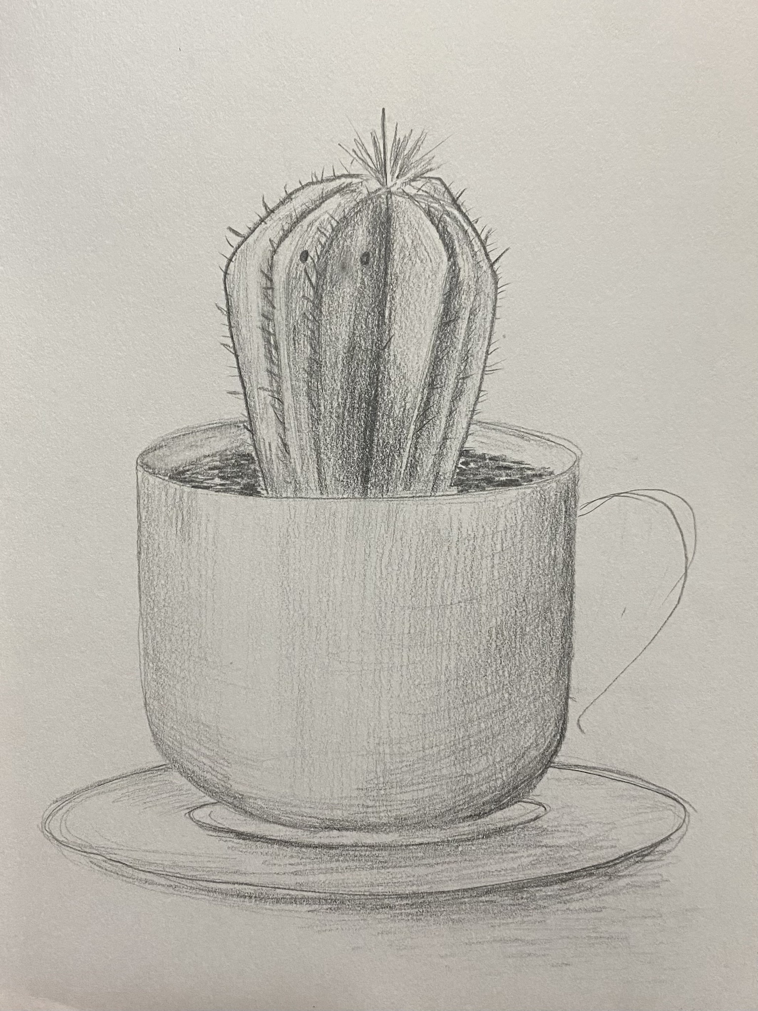 Exploring My Passion: A Glimpse into My Hobby