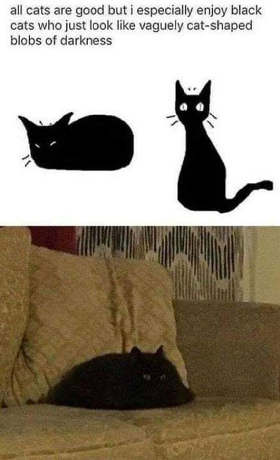 Cats Mourning the Arrival of Monday: A Purr-fectly Sad Scene