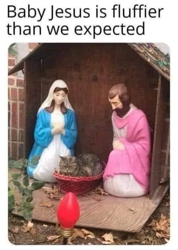 A Little Surprise Just for You