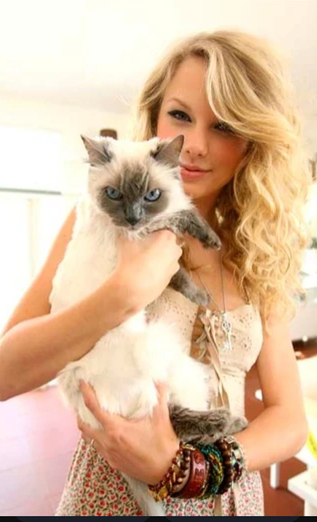 When cuddling a cat feels like a political statement