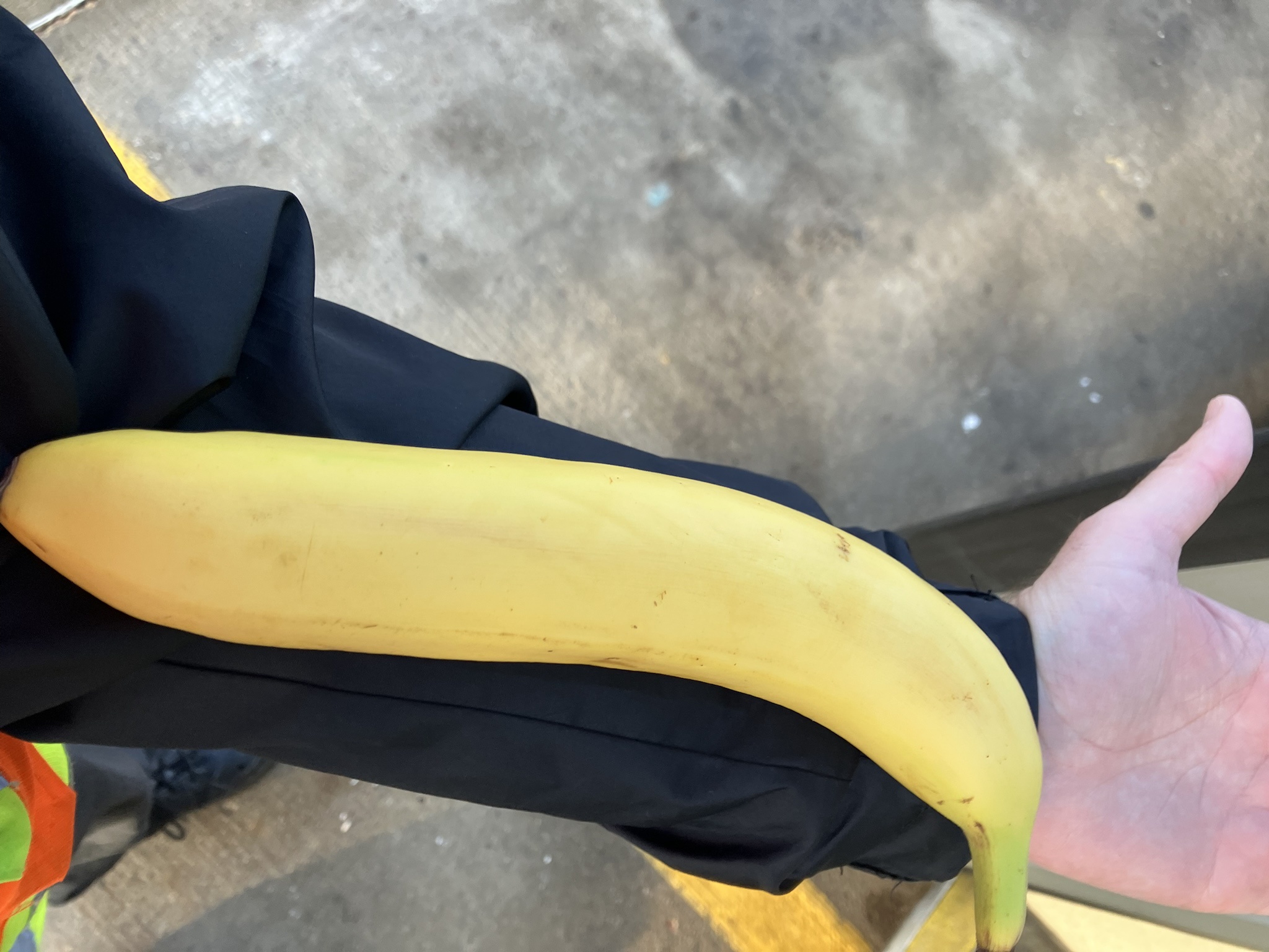 The Banana Scale Dilemma: Why It's No Longer Reliable