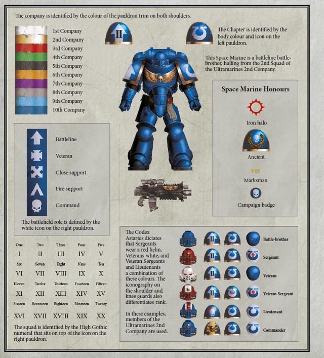 Exploring the Iconic Heraldry of Warhammer 40k Space Marines