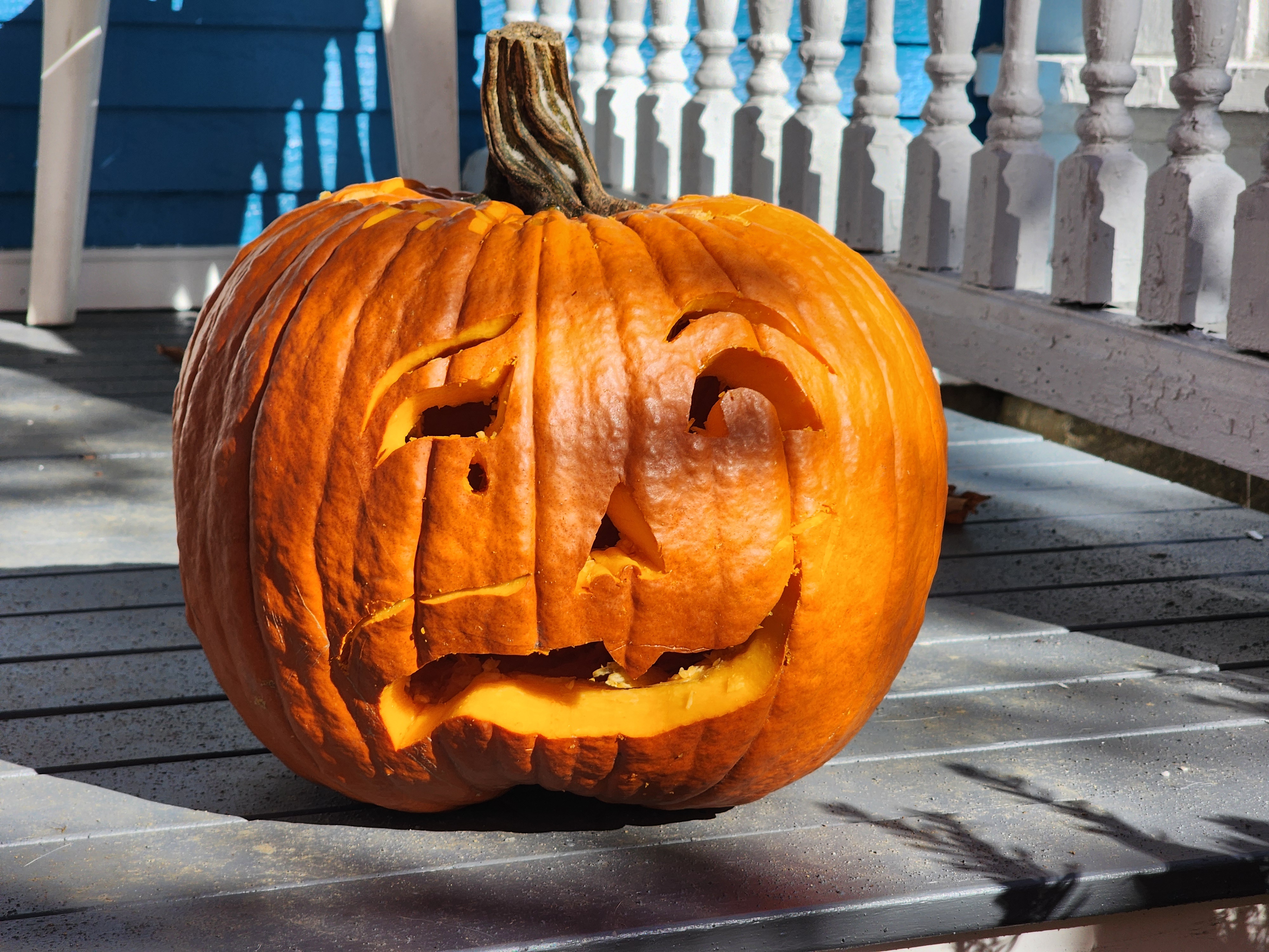 Just My Gourd: A Playful Pun on Pumpkins!