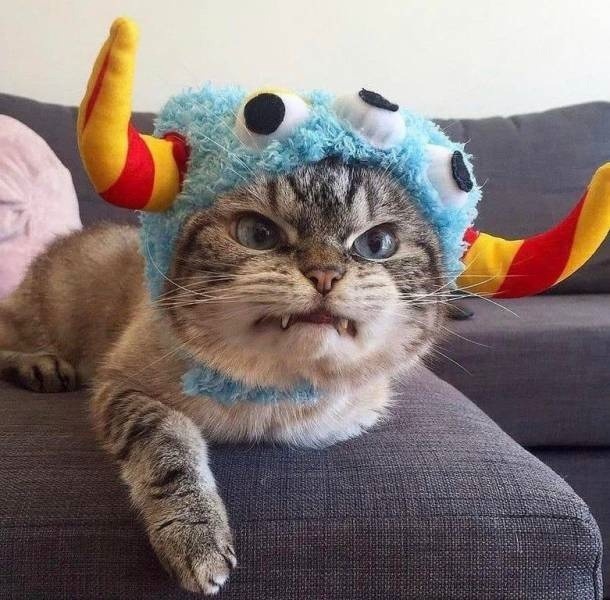 Watch Out! Here Comes a Scary Monster!