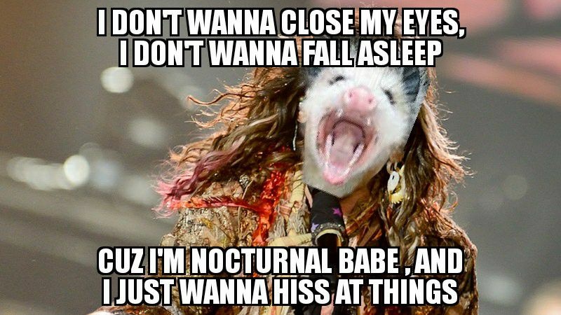 Music-Themed Memes: A Little Something for Your Soul