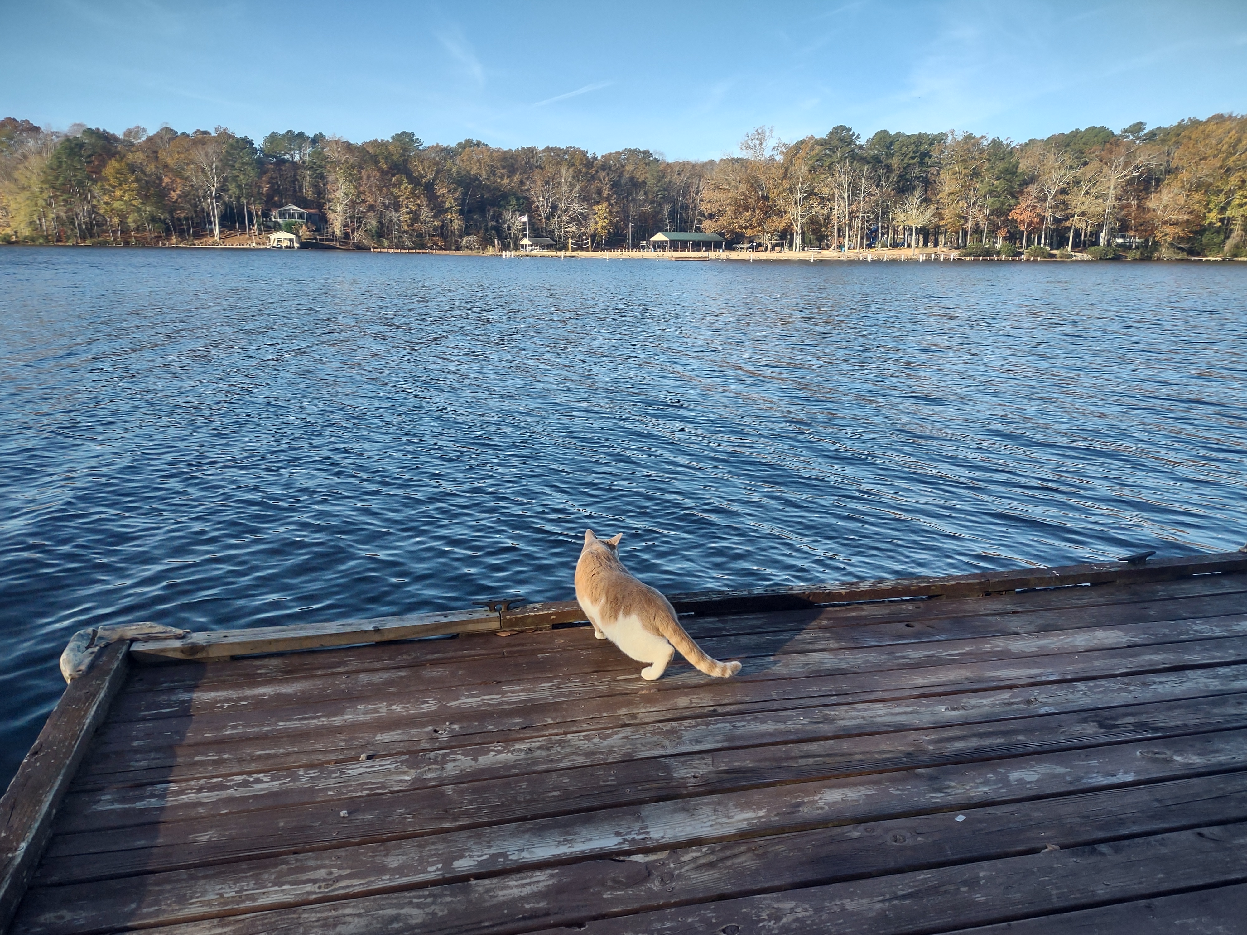 A Day at the Lake with My Baby: Cherished Moments
