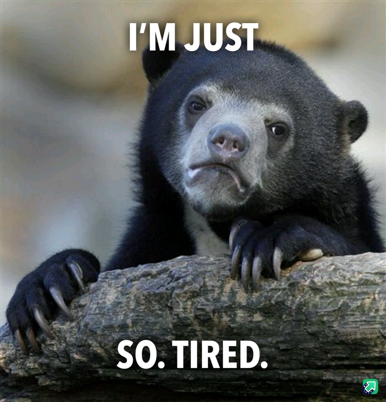 Desperately craving some sleep right now!