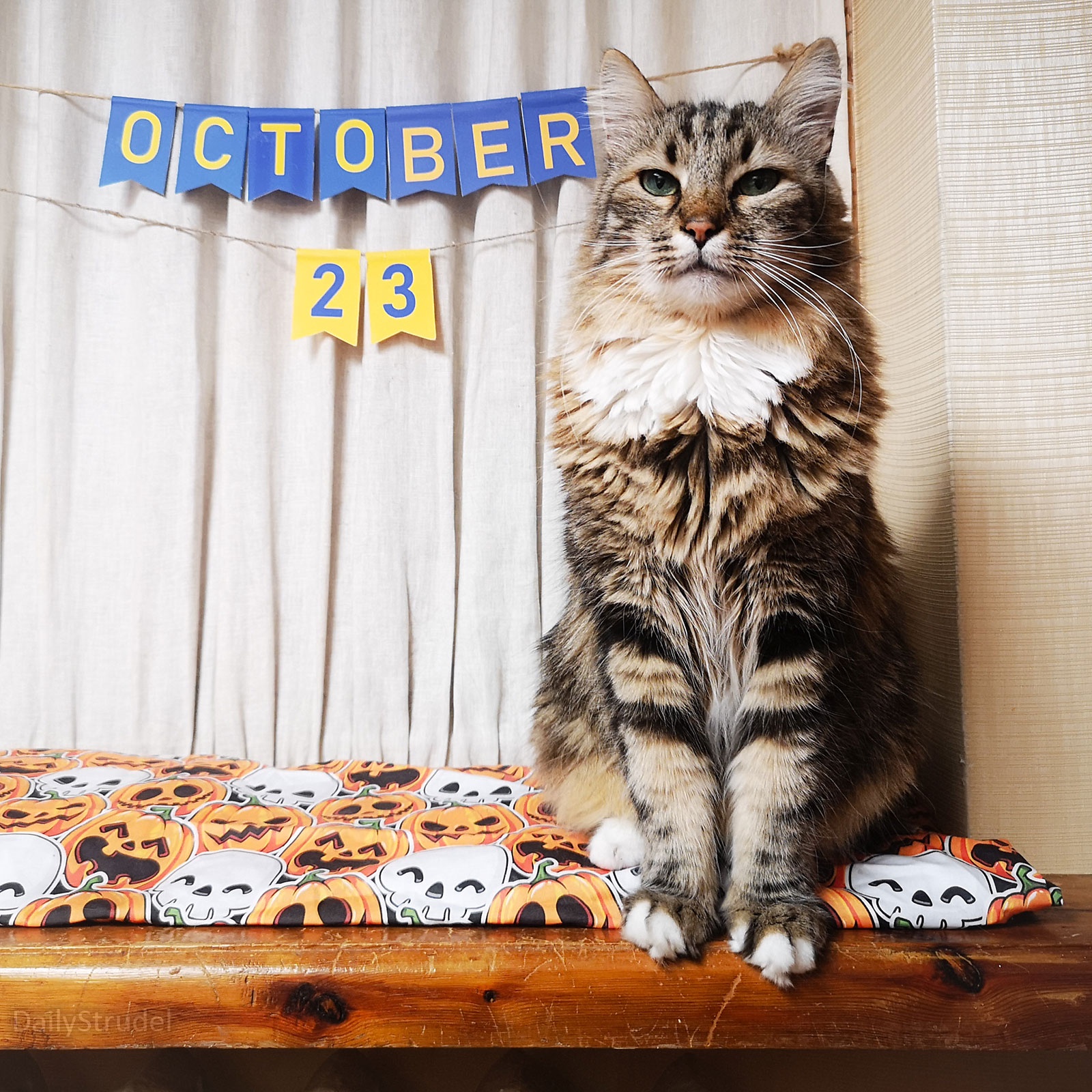 Mark Your Calendars: October 23 is Here!