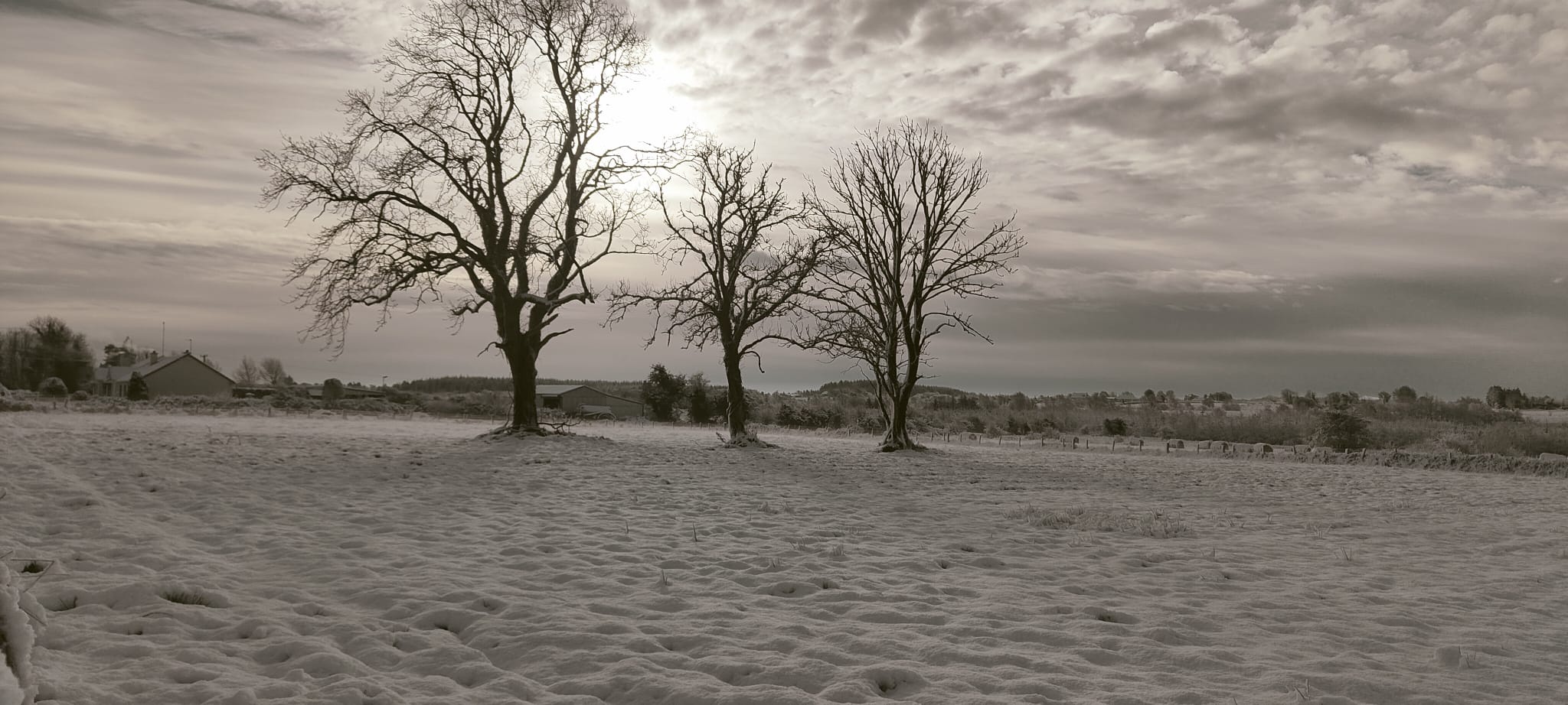 Unexpected Snowfall in Ireland: November 2024 Edition