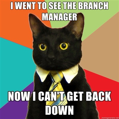 Meet the Purr-fect Business Cat