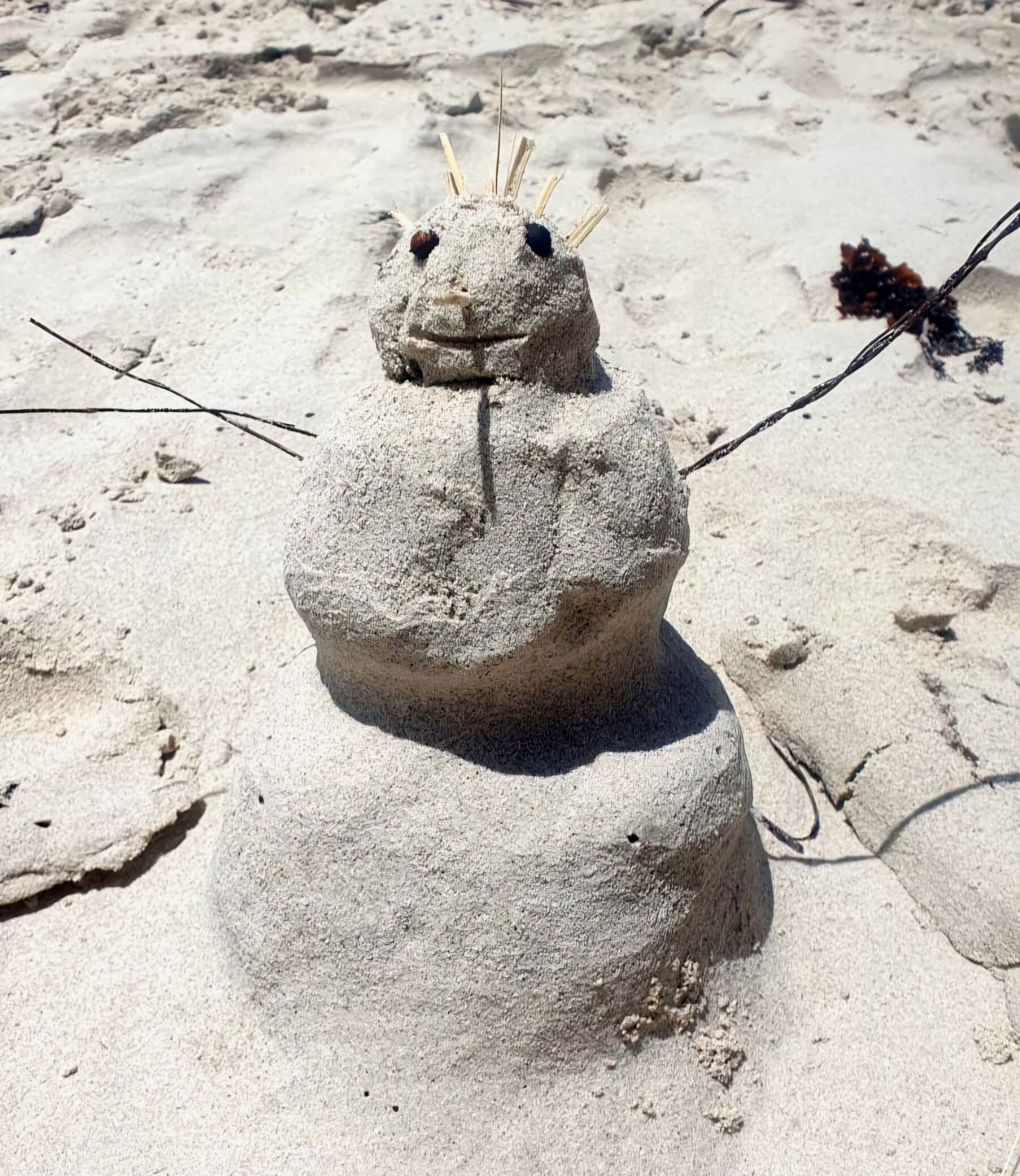 Merry Christmas from the Beautiful Western Australia!