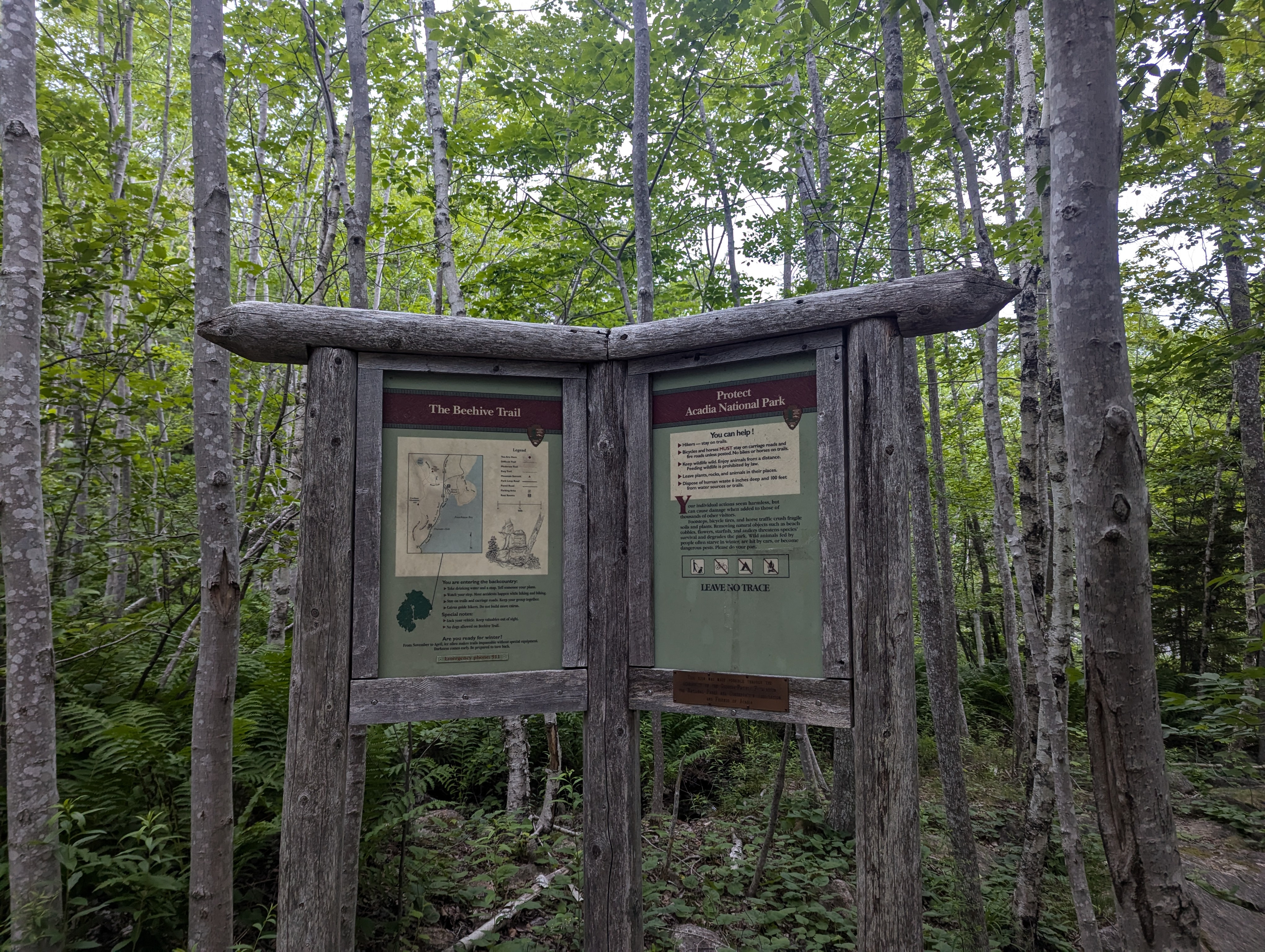 Exploring the Beehive Trail in Maine