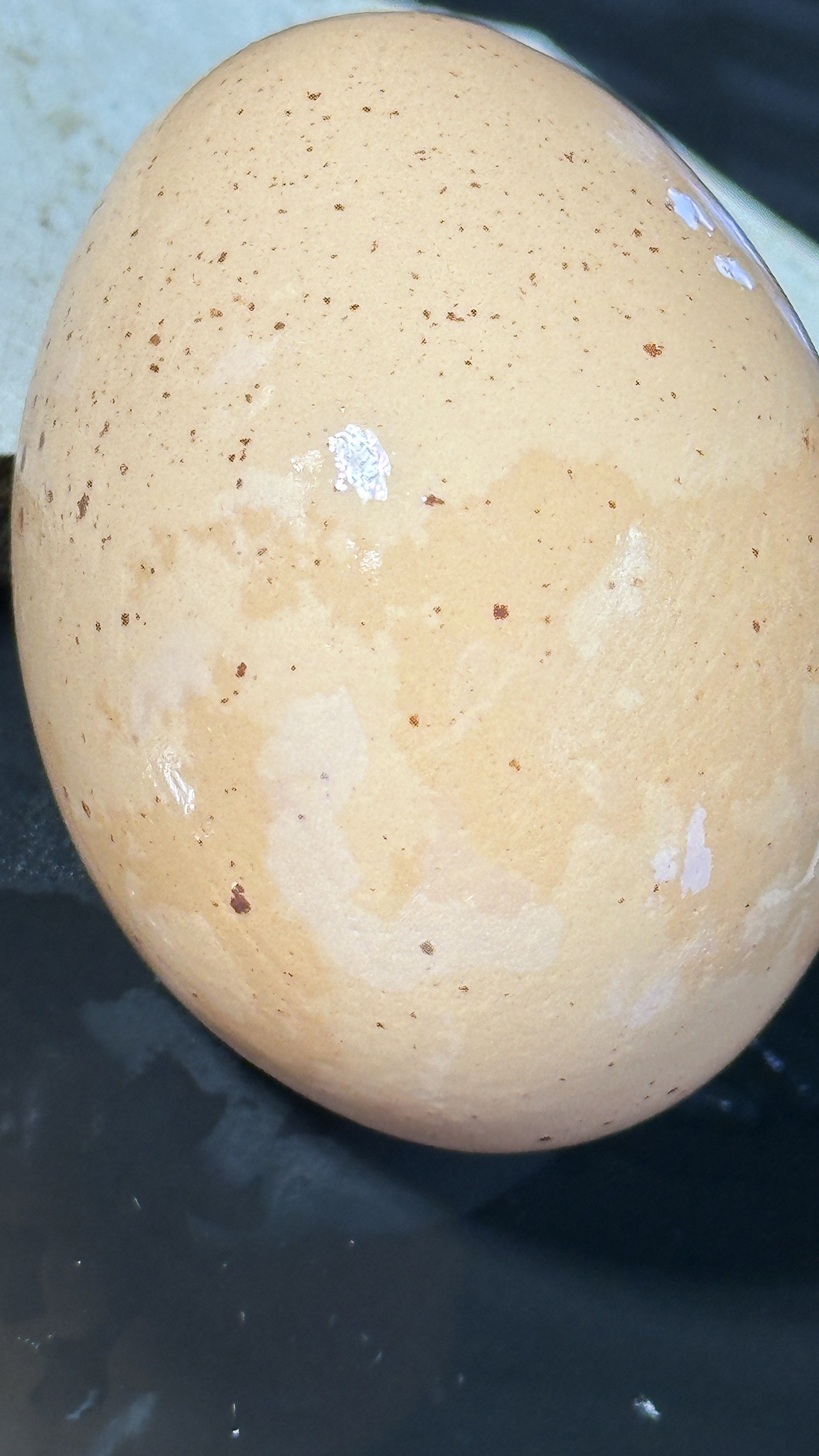 Is My Toxic Trait Really Just Not Wanting to Break These Beautiful Eggs?