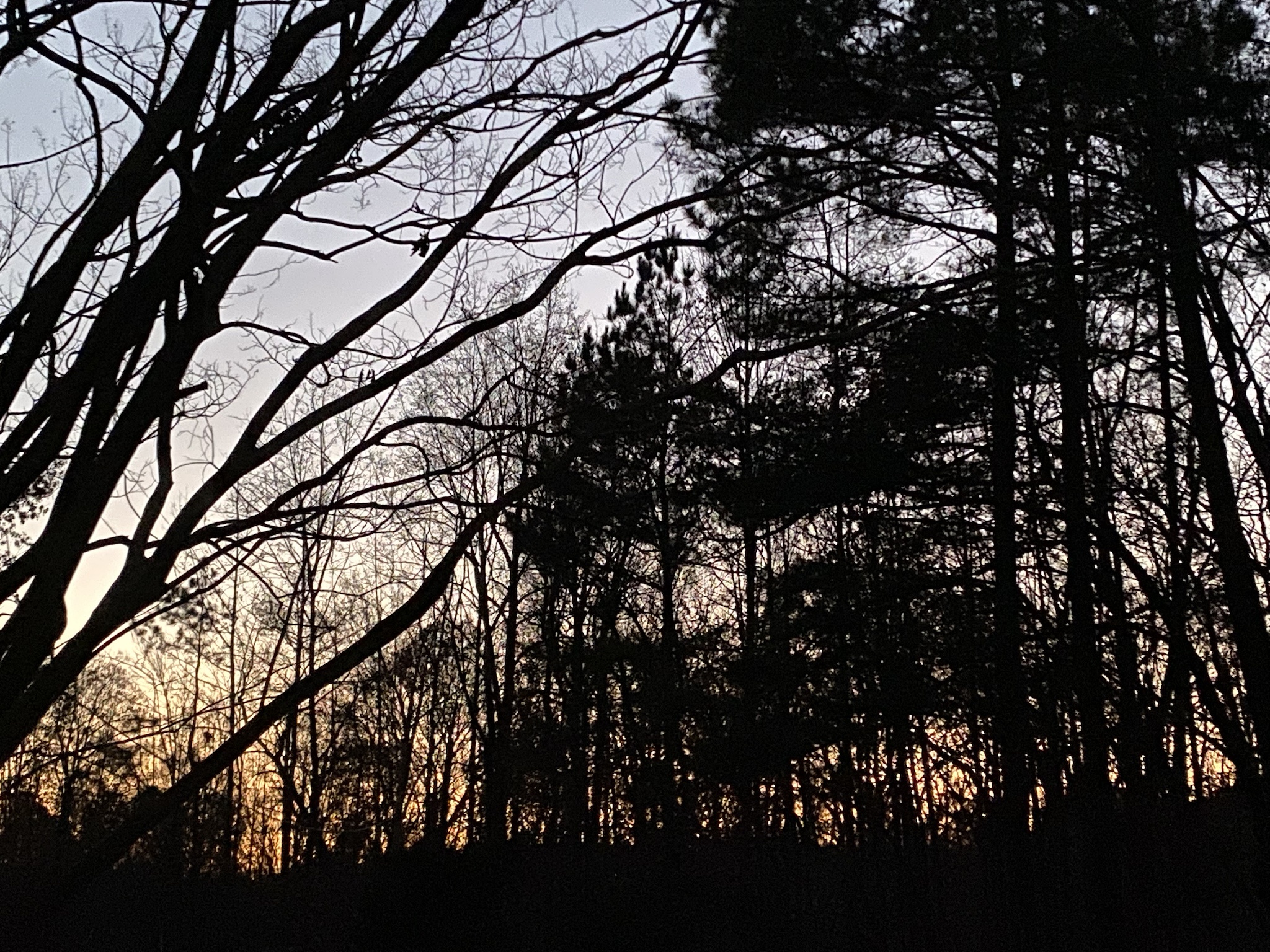 A Beautiful Evening: Sunset in Durham, NC