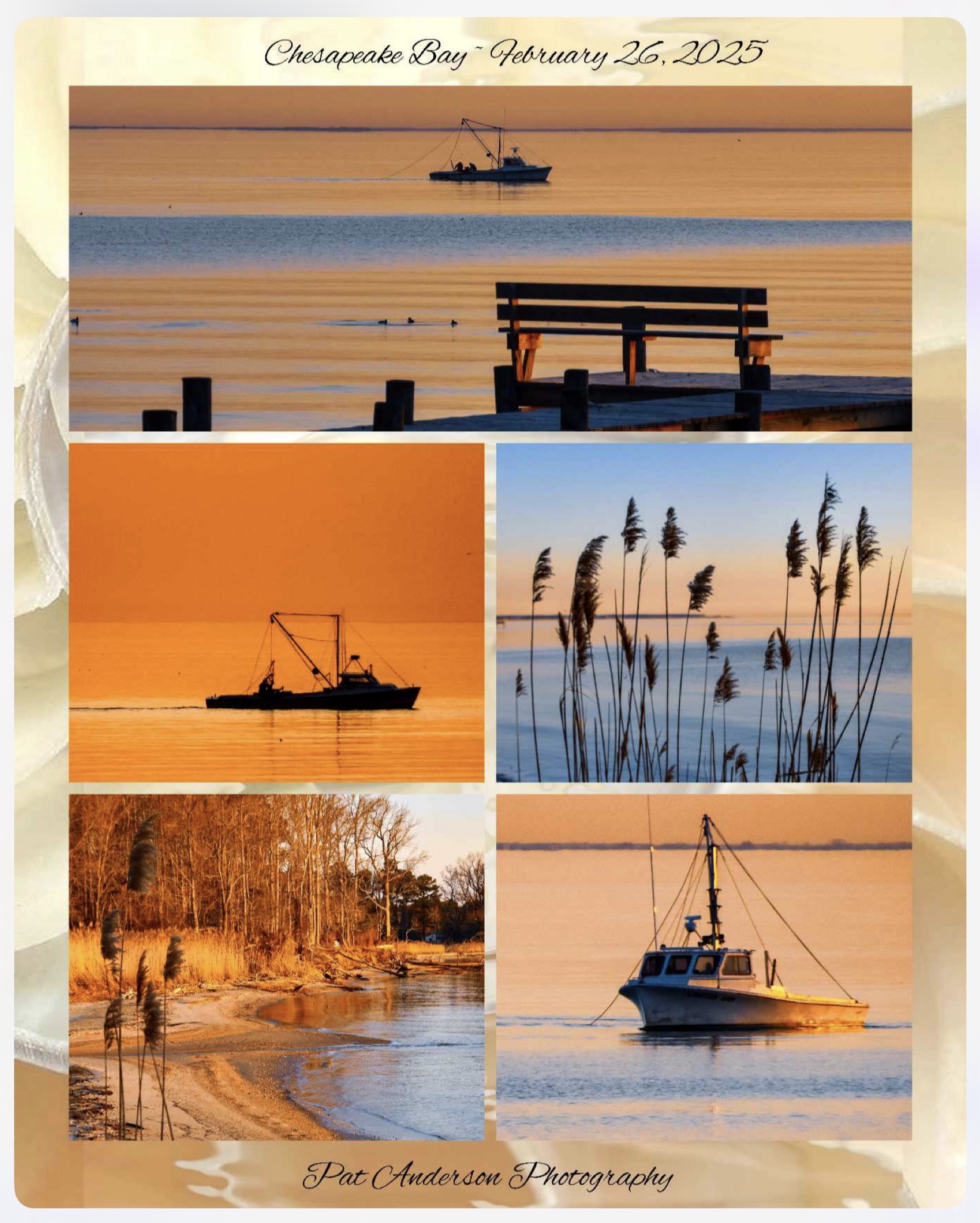 Exploring the Beauty of Chesapeake Bay