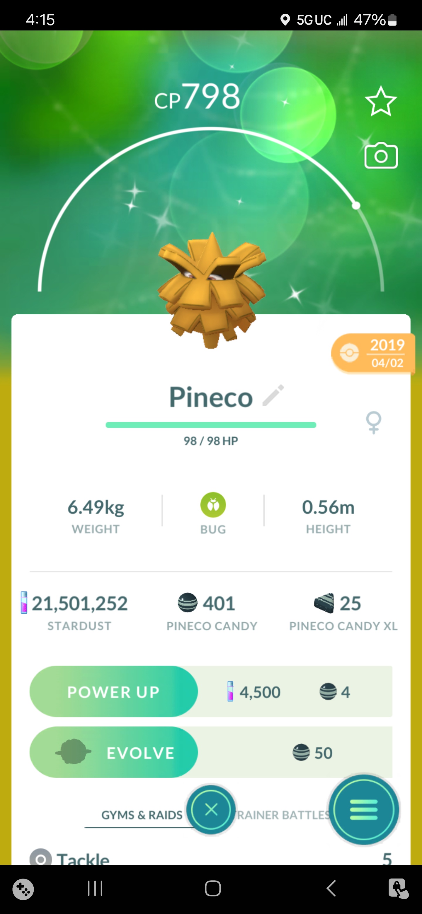 Team Pineco: United We Stand!