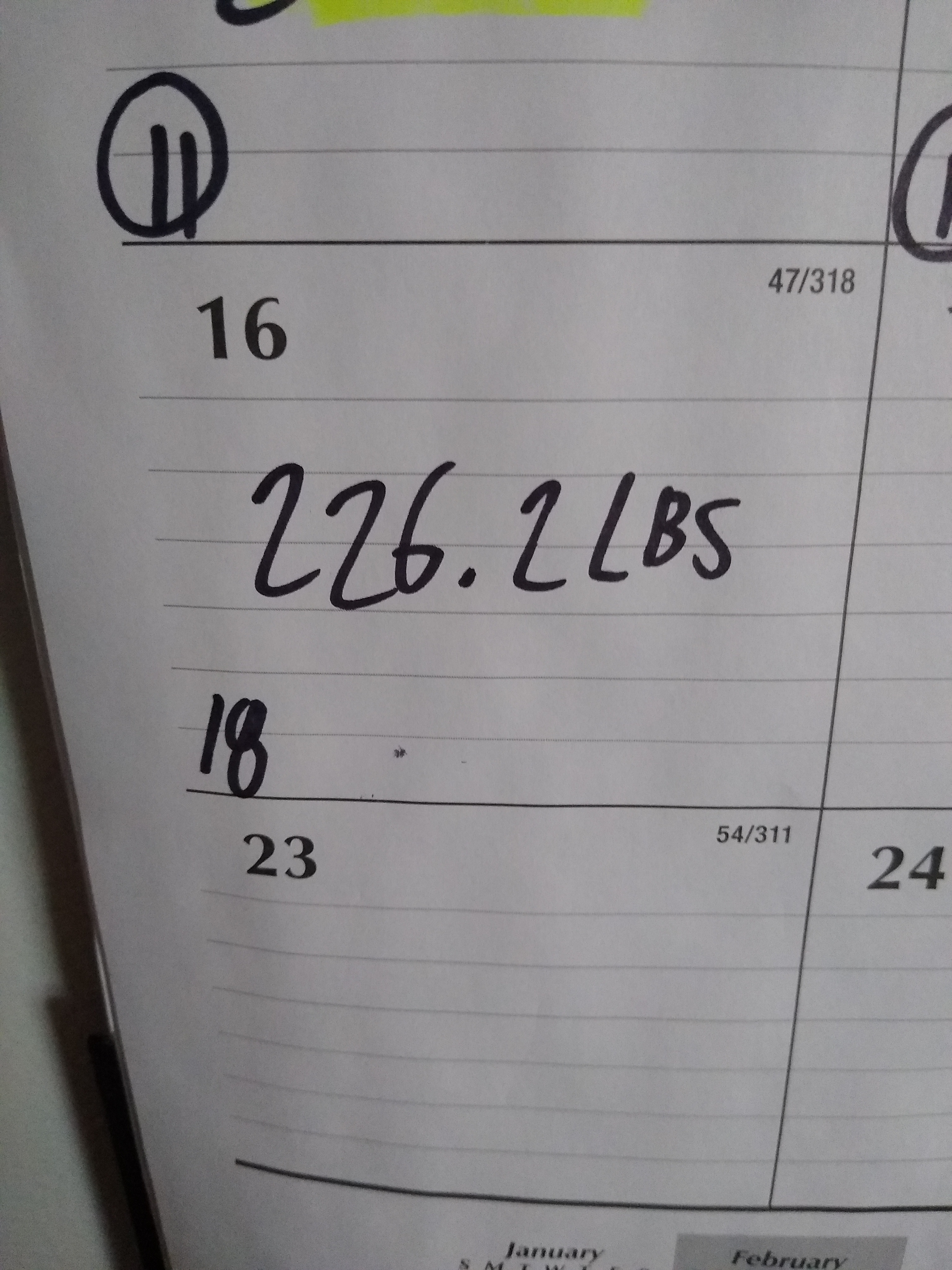 Day 18 of My Weight Tracking Journey: Progress Update