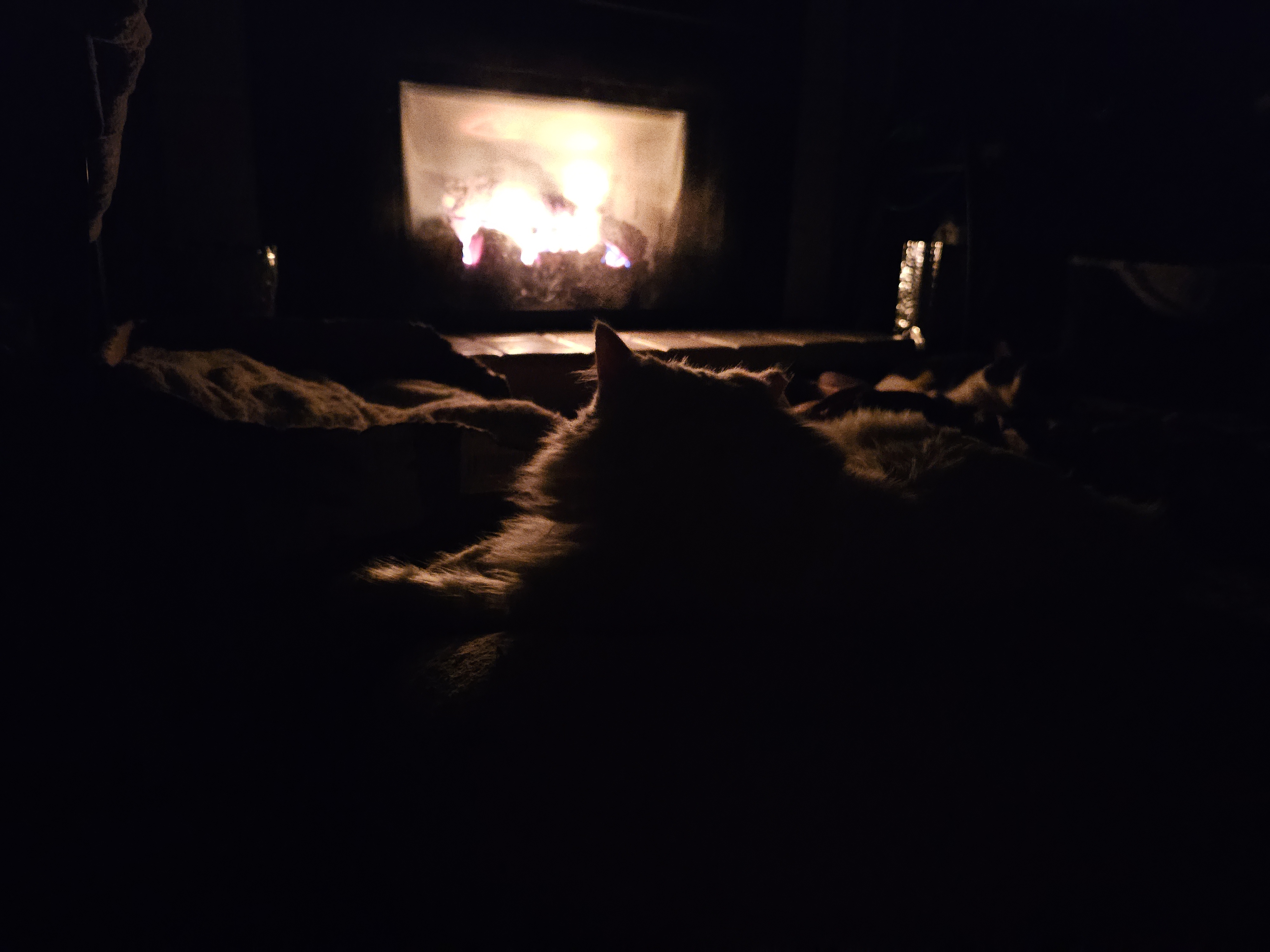 No Electricity? At Least I've Got My Cozy Fireplace and Furry Friends