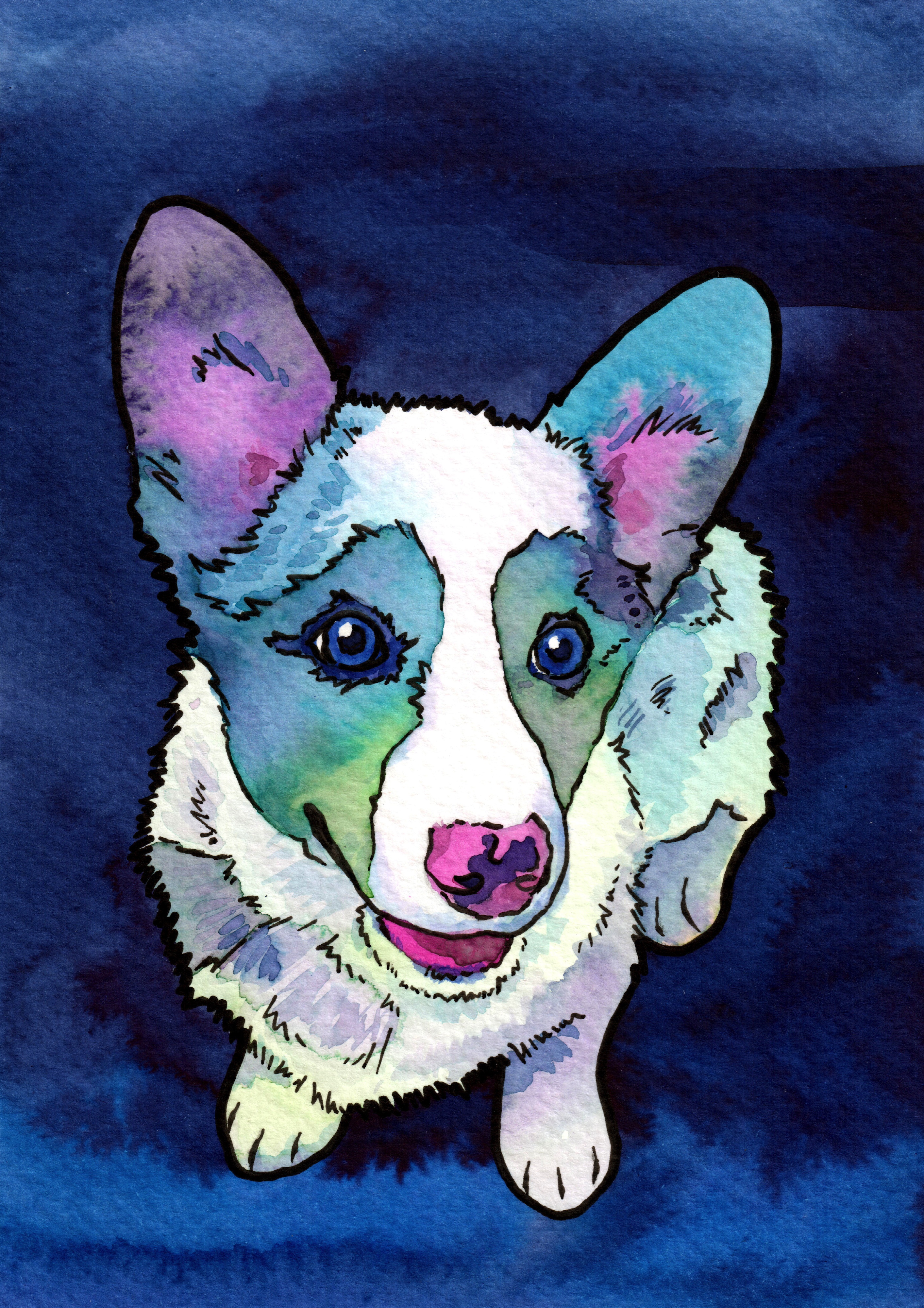 Every day, I paint a corgi! Meet Boba!