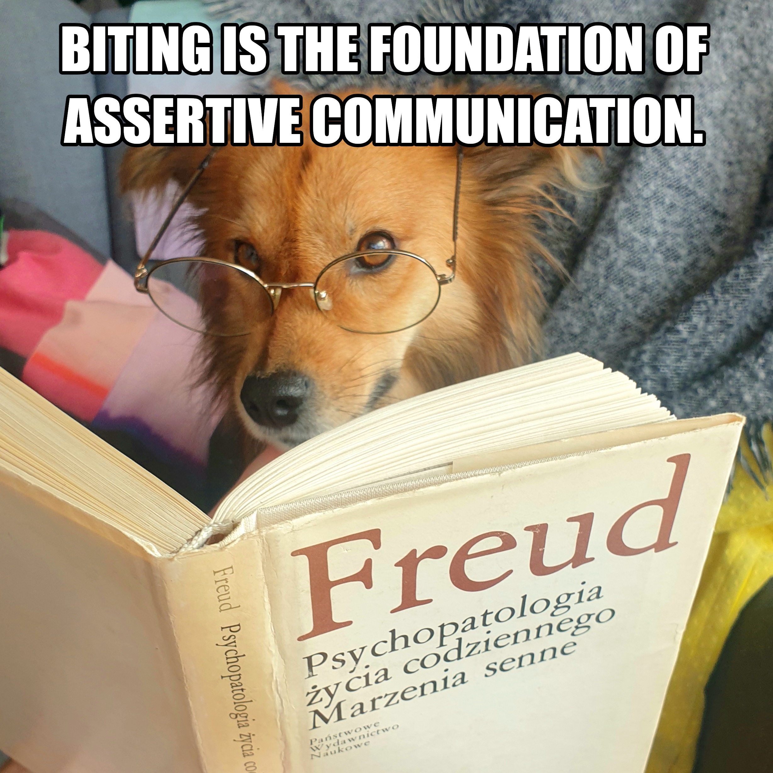 Top Recommendations from My Communication Coach