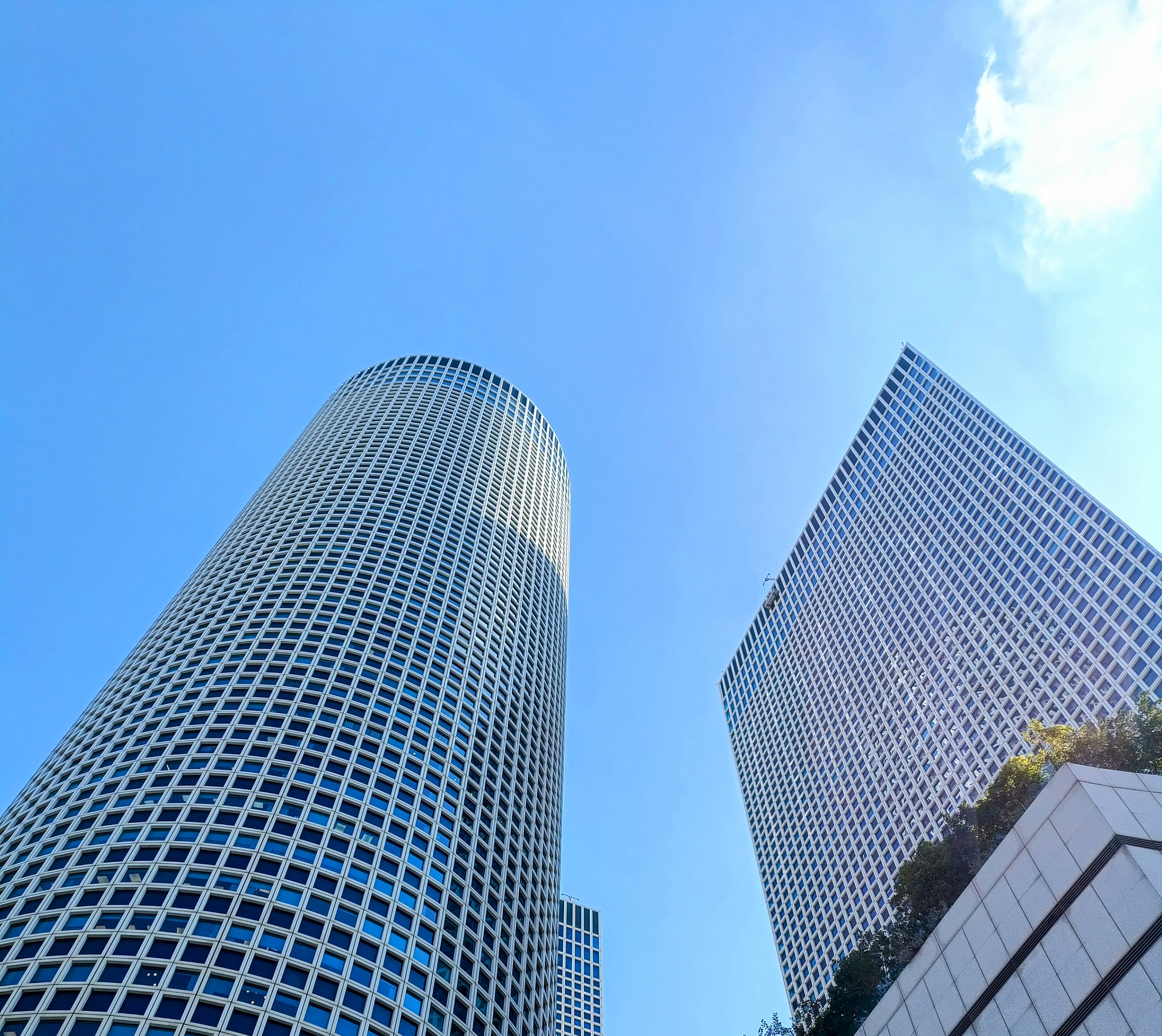 Reaching for the Sky: A Dreamer's Journey