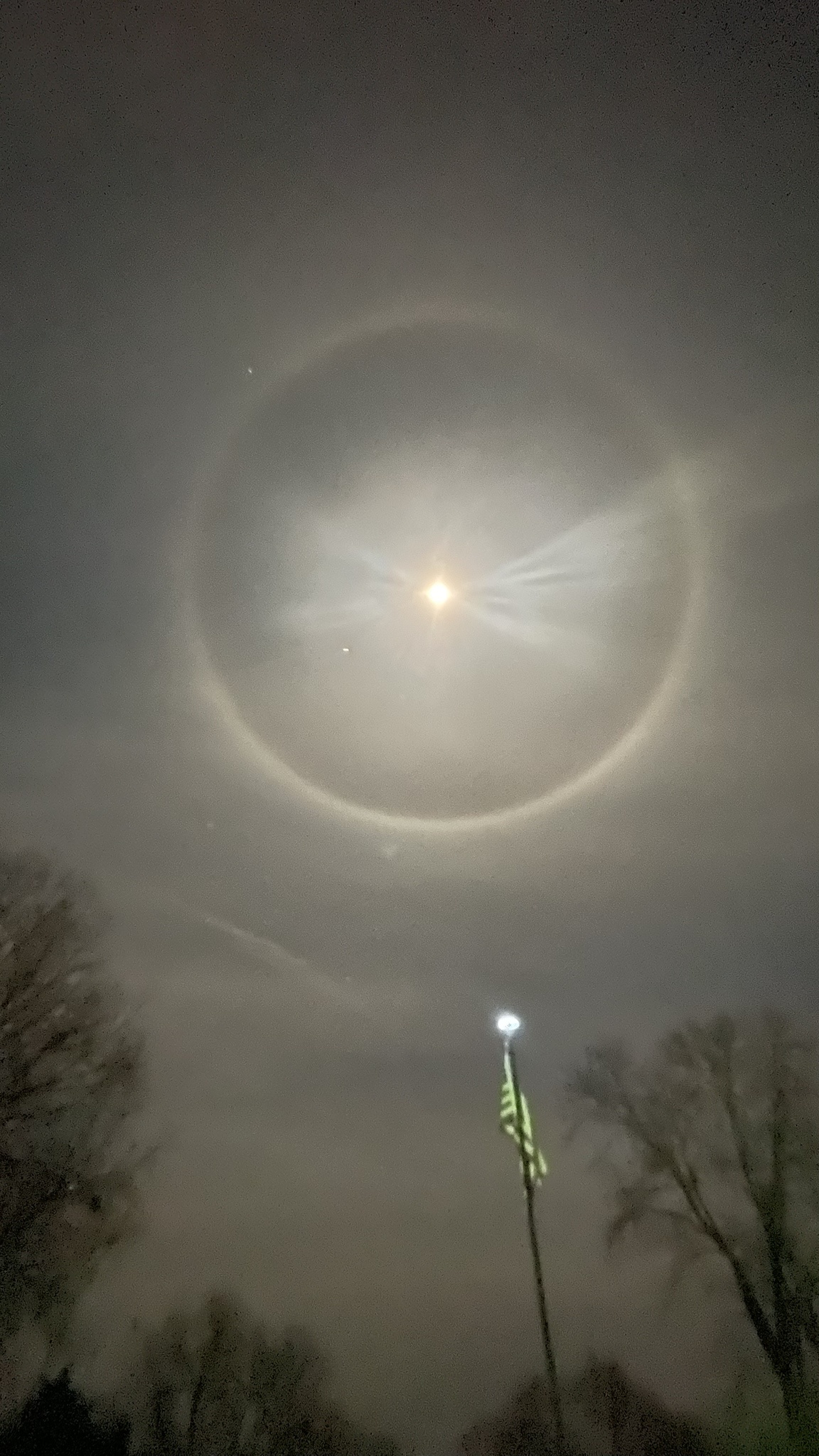 The enchanting Moon Dog of December 2024: A celestial wonder!