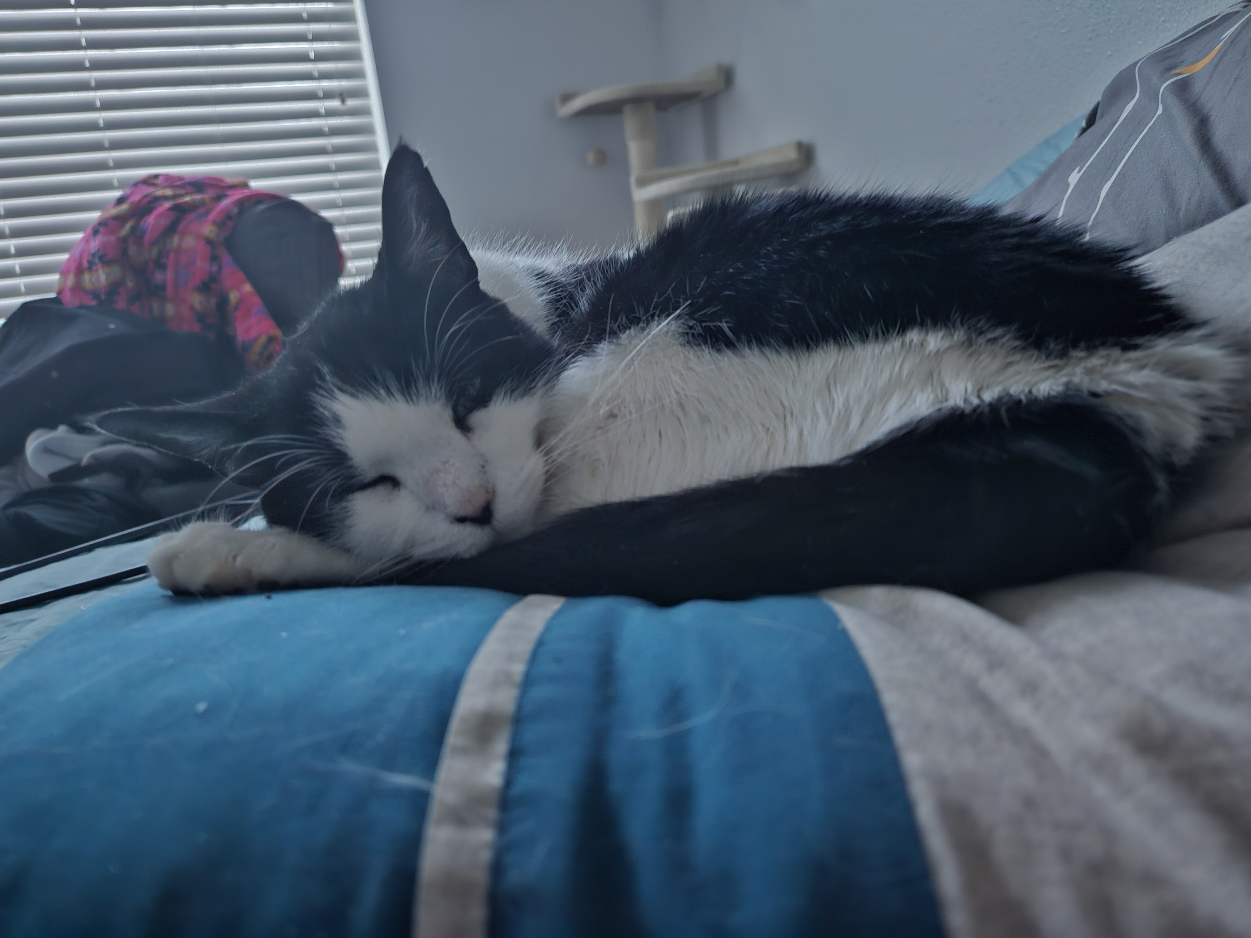 The struggle to get out of bed is real.