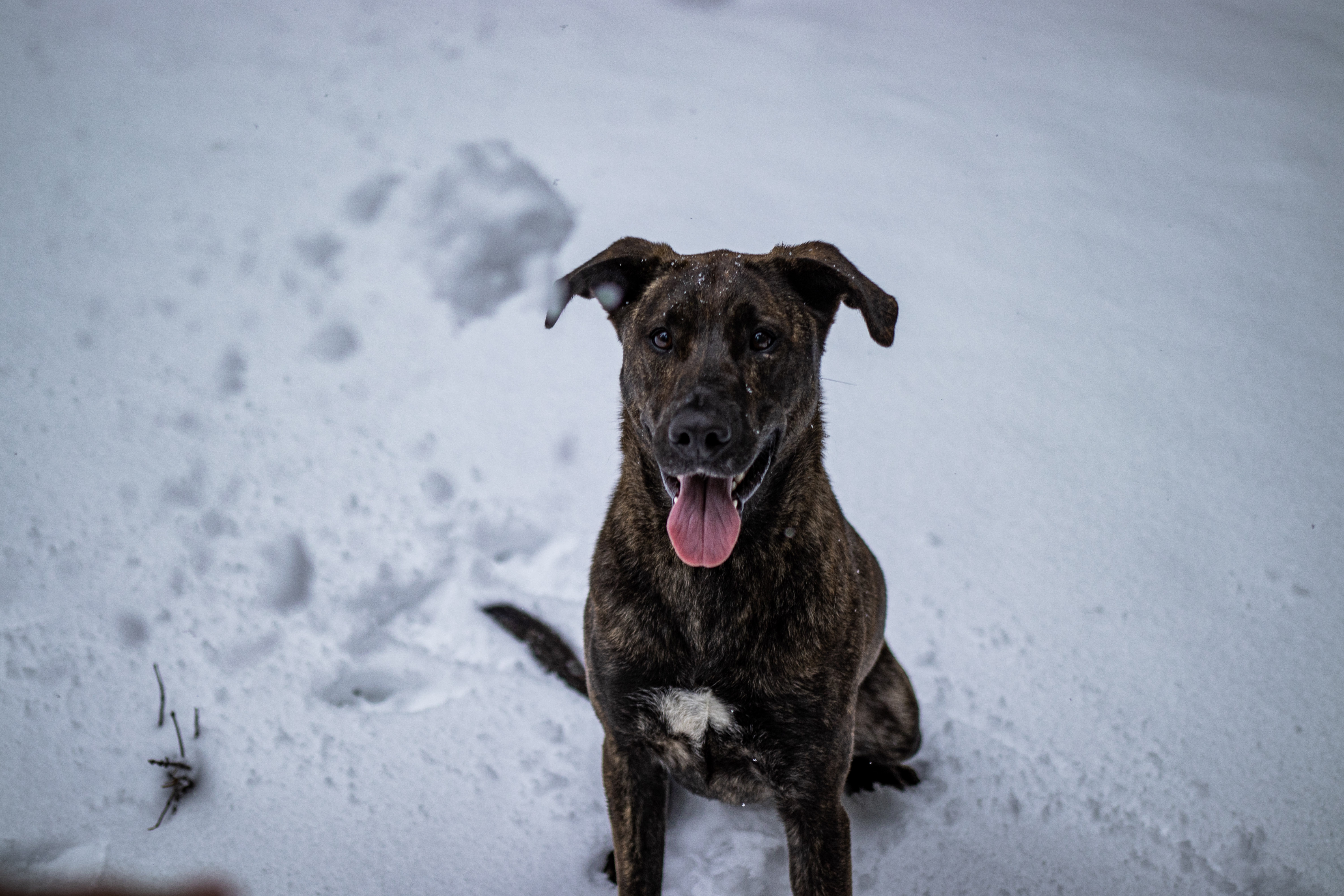 Trust me, things are about to get snowy!