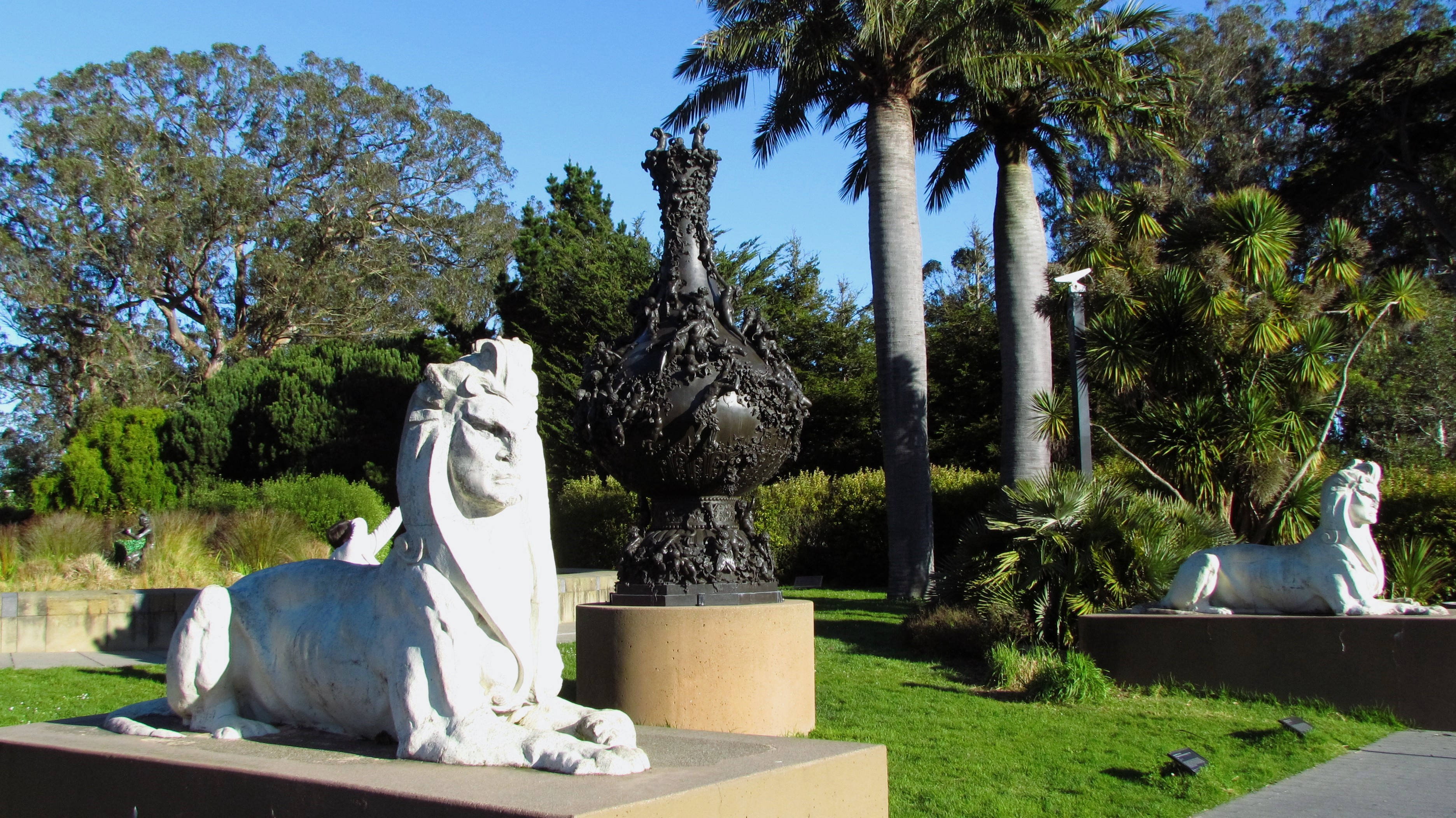 Another Day in the Stunning Golden Gate Park