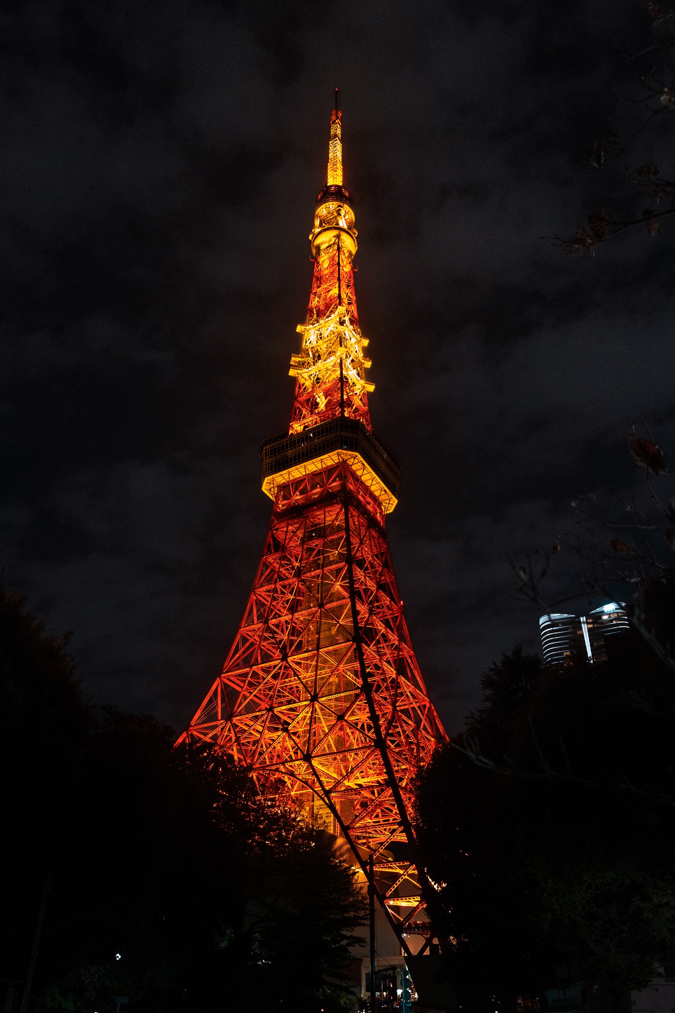 Tokyo and Mount Fuji: A Stunning View