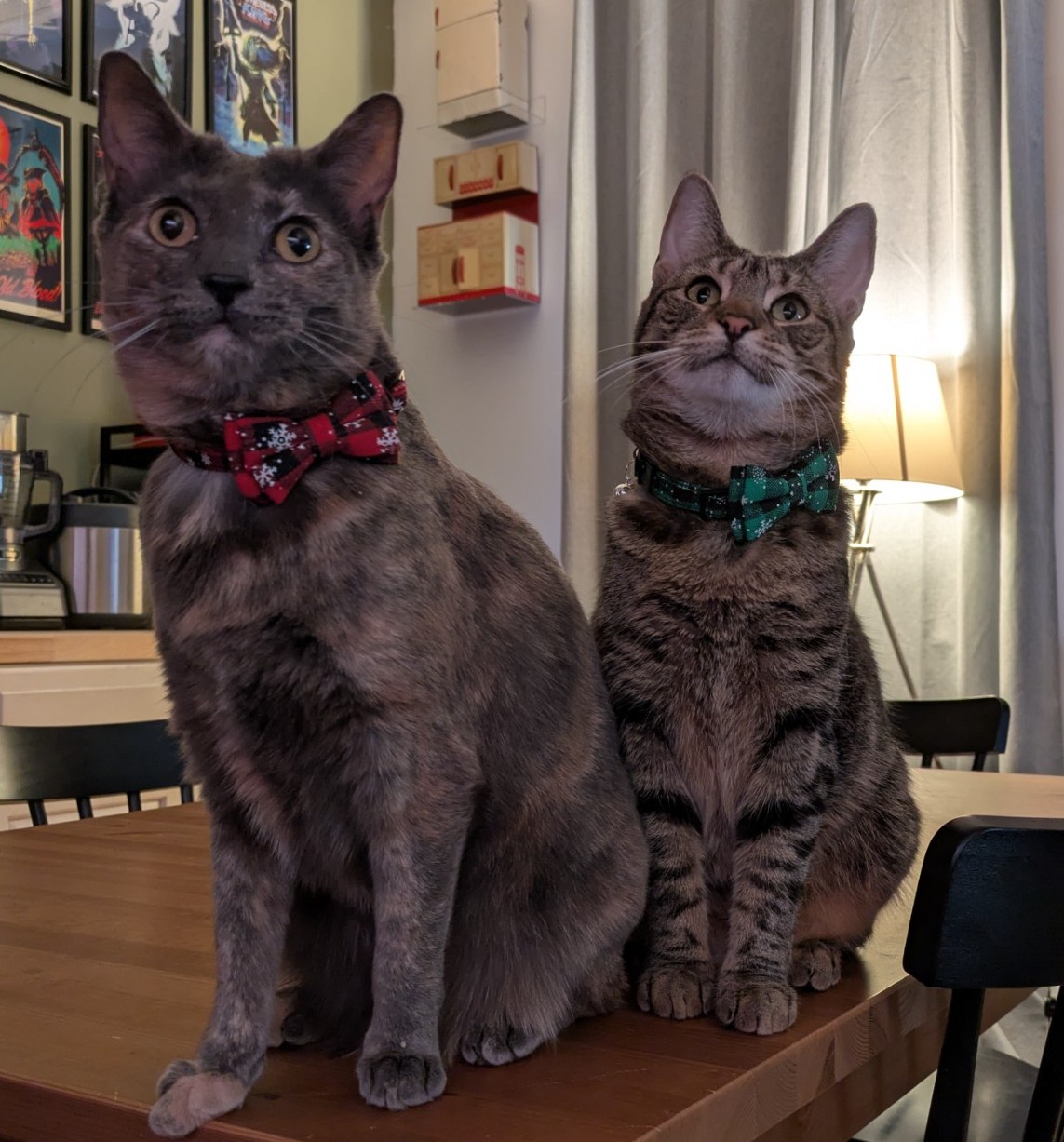 Wishing You a Merry Christmas!