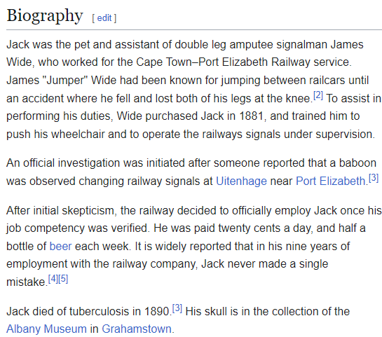 Meet the Baboon: A Railway Worker in South Africa with a Perfect Record