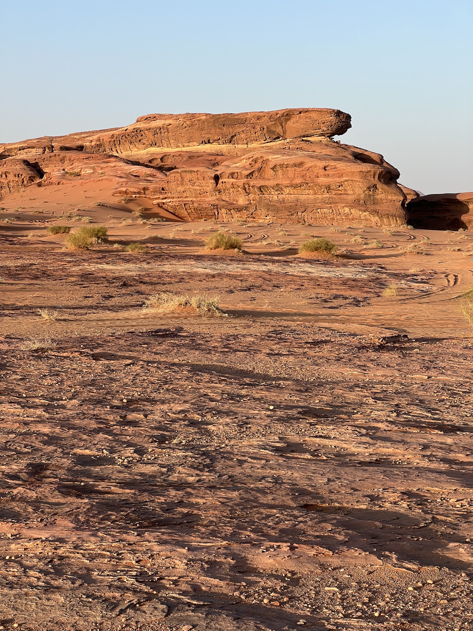 A Stunning View of the Desert Landscape