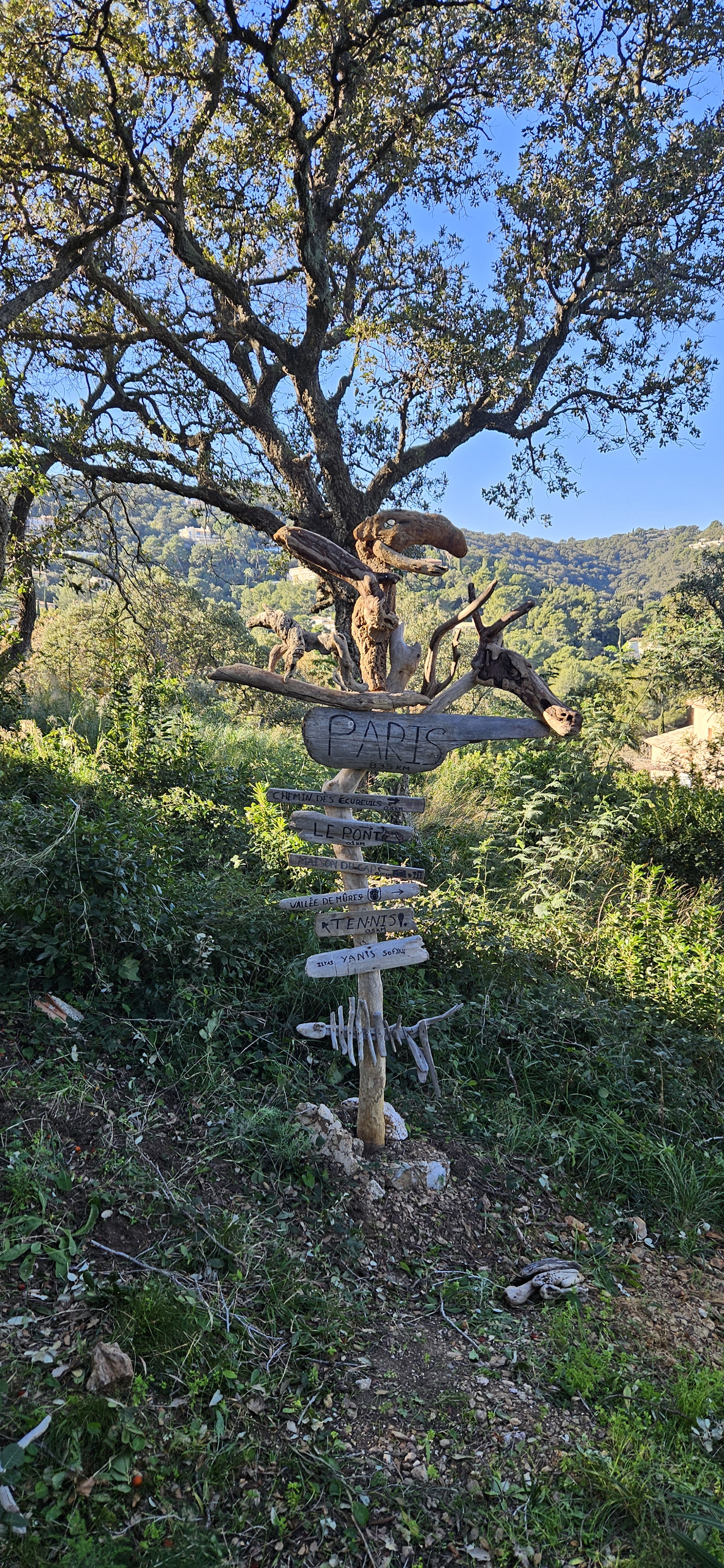 Crafting a Homemade Sign from Driftwood