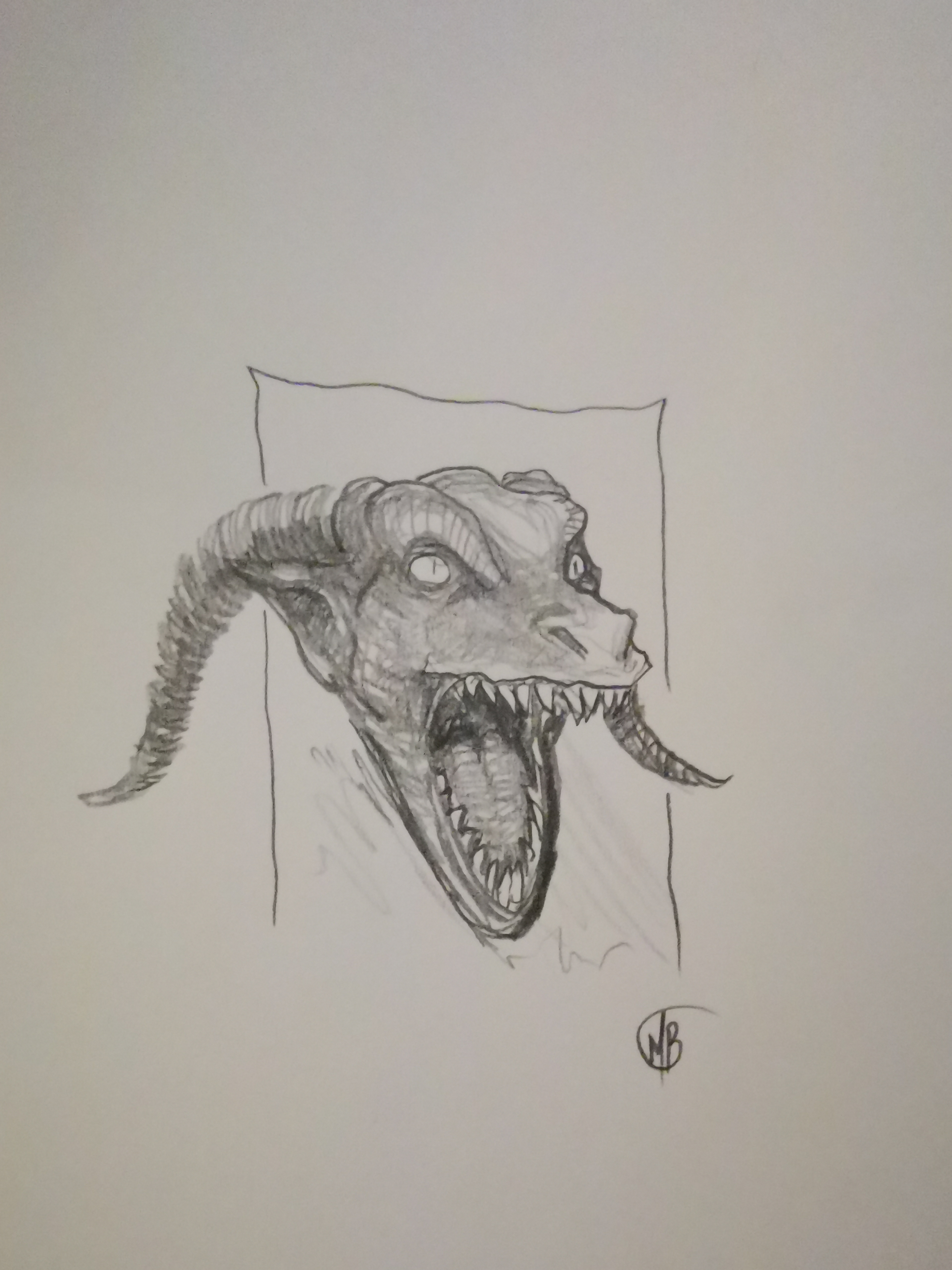 Doodl: The Art of Simplicity