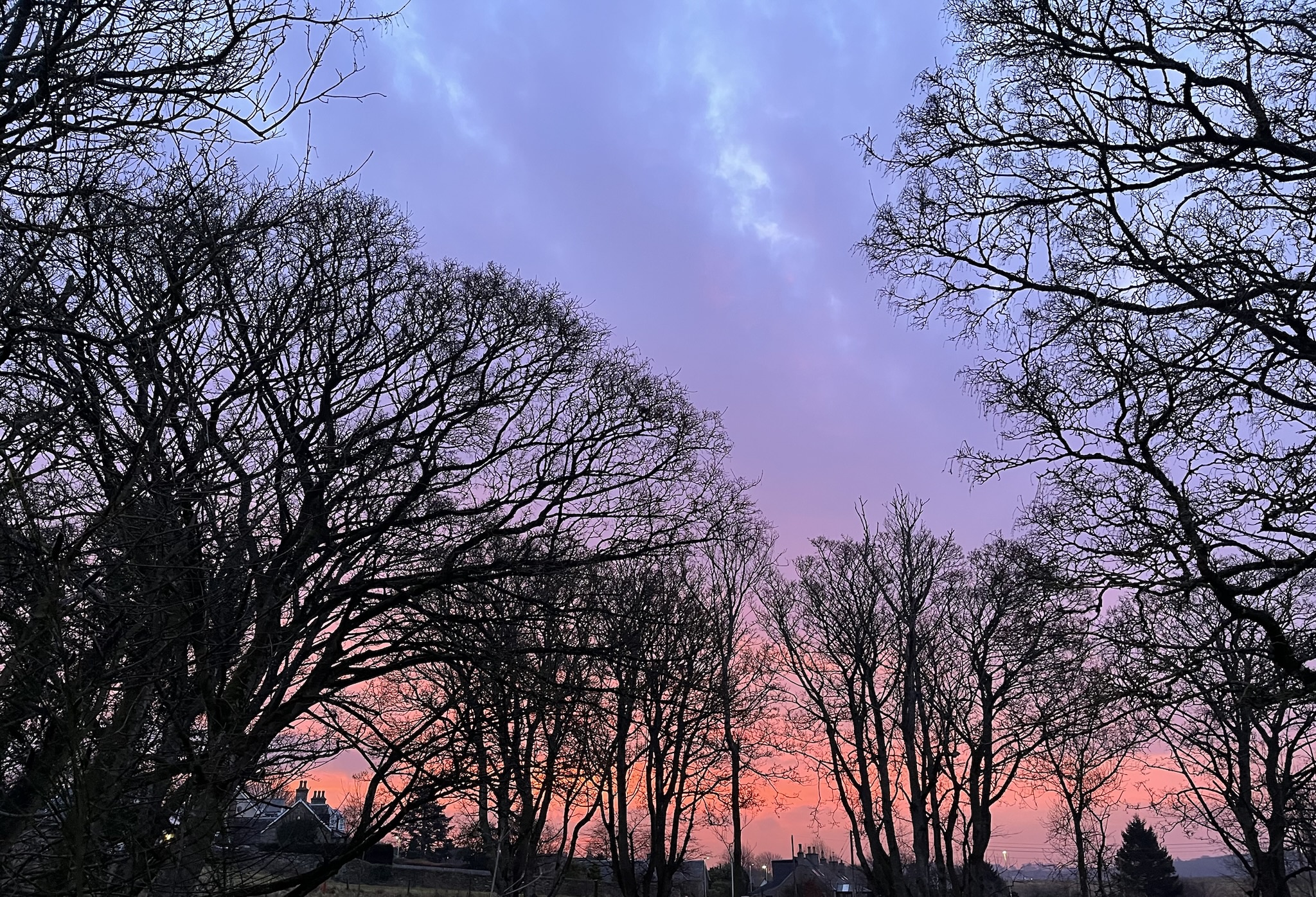 This Morning's Sky: A Wild and Beautiful Display