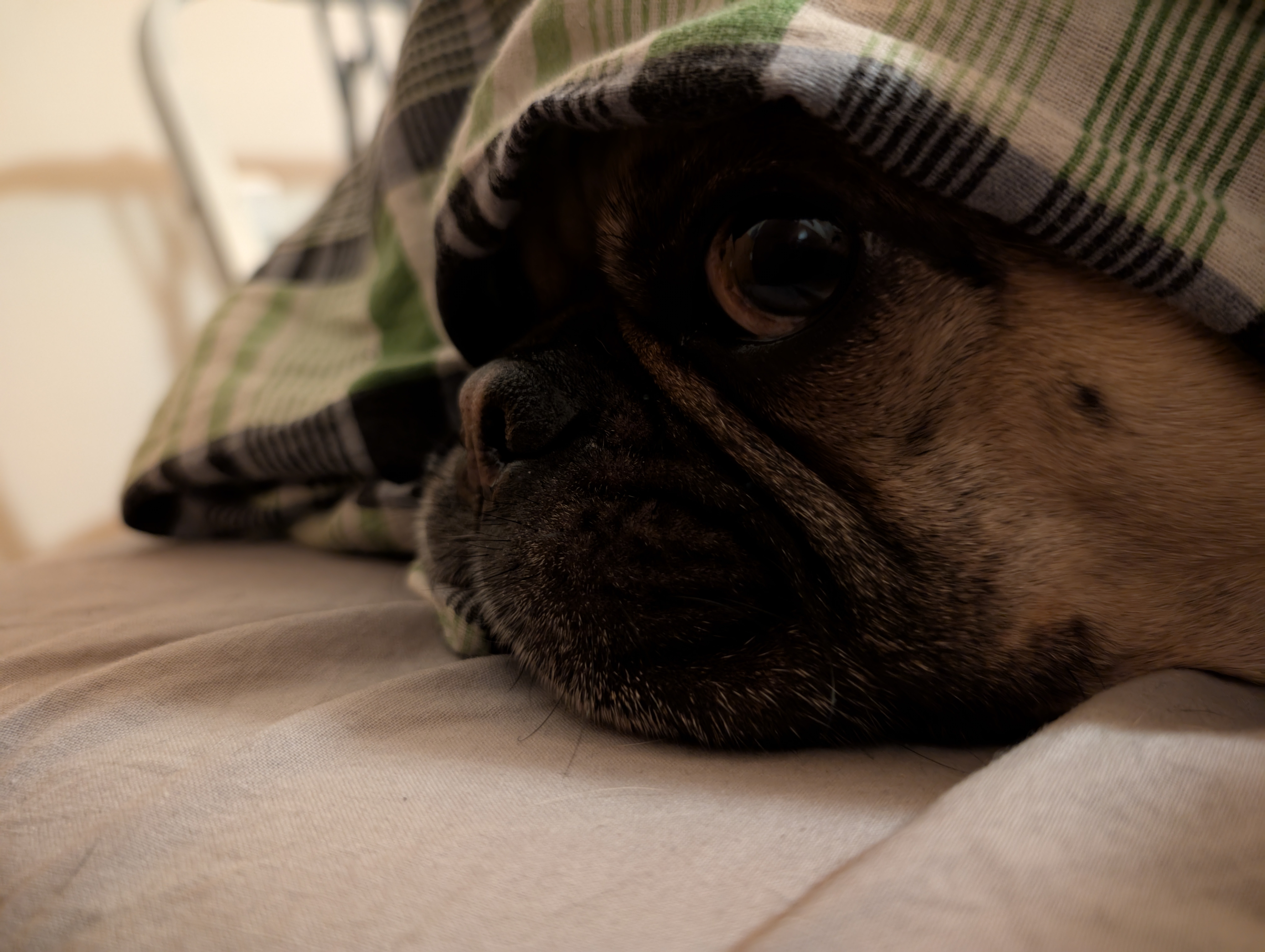 Did I hear someone mention snacks?
