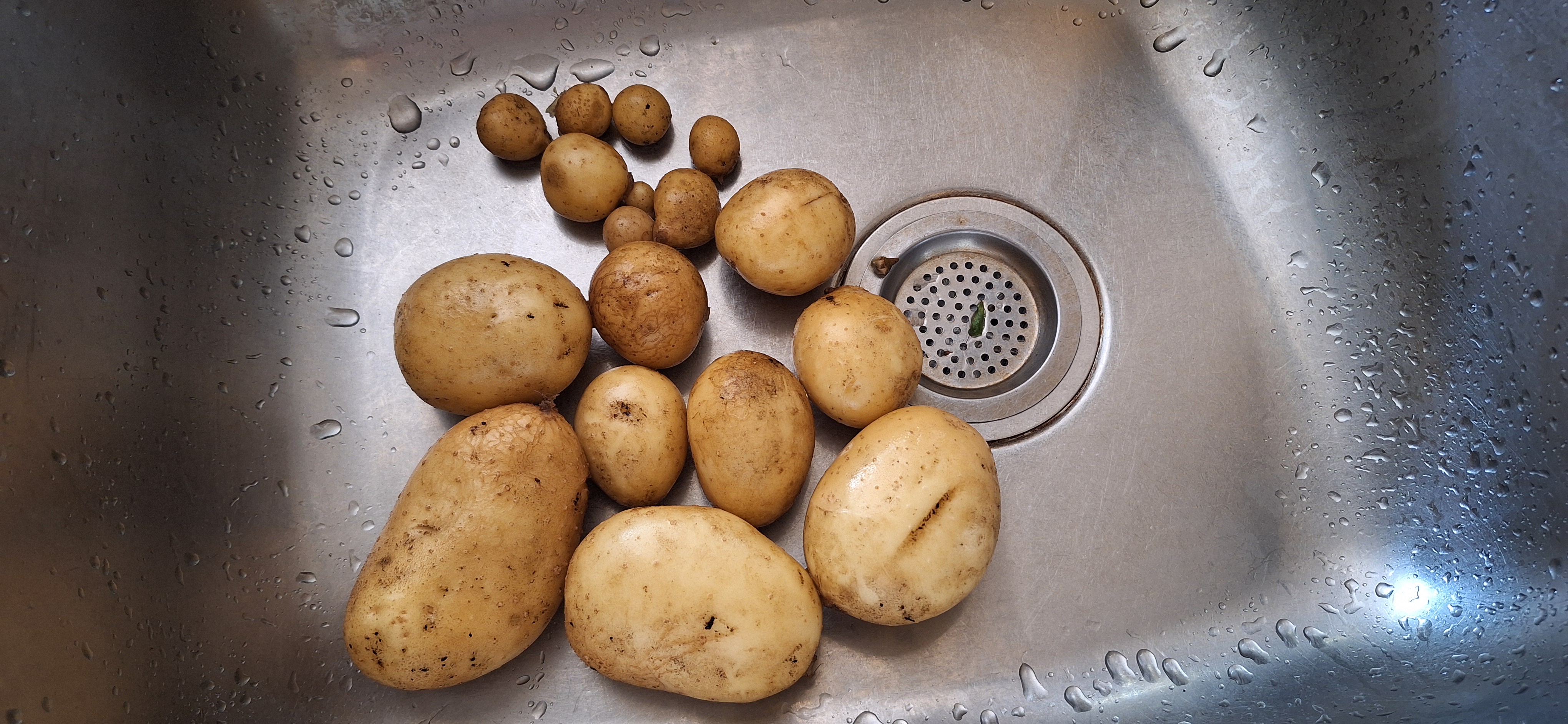 Harvest results: Not much to show this time