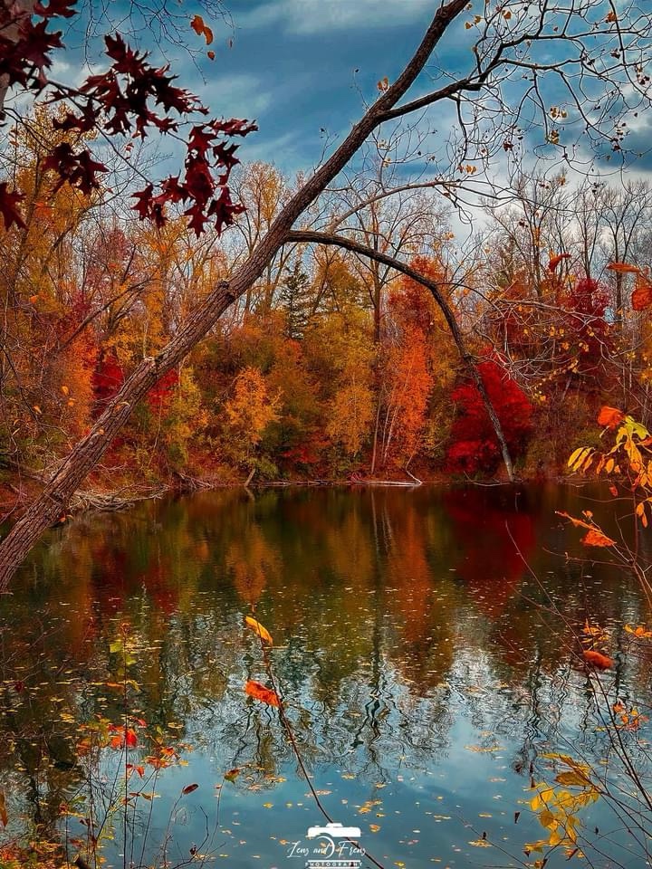 The Beauty of Autumn Unfolds