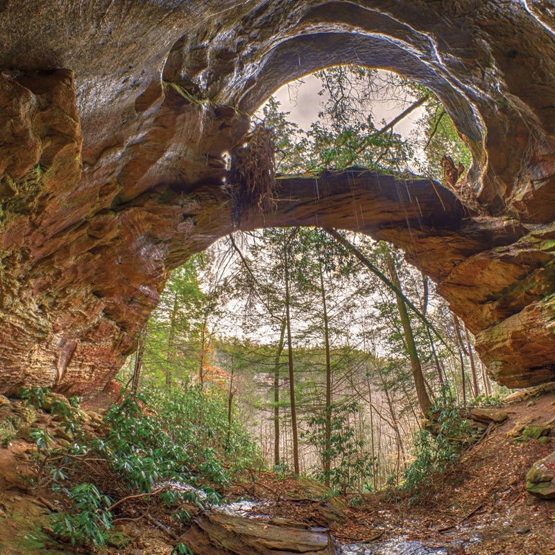 A Glimpse of the Stunning Arches and Vistas in Kentucky's 'Green Grand Canyon' - Red River Gorge!