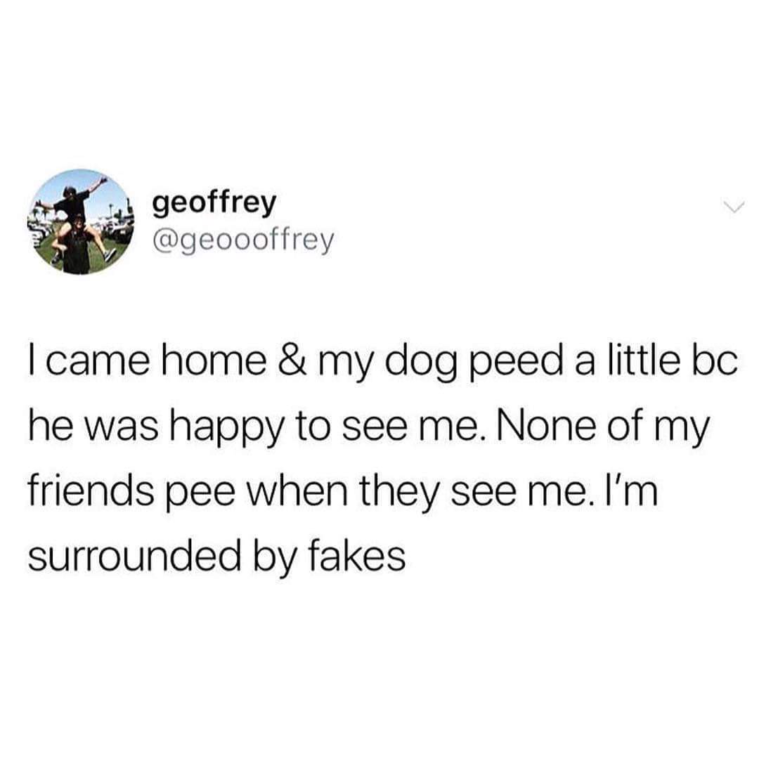 My Imgur Fans Never Pee When I Post: The Mystery