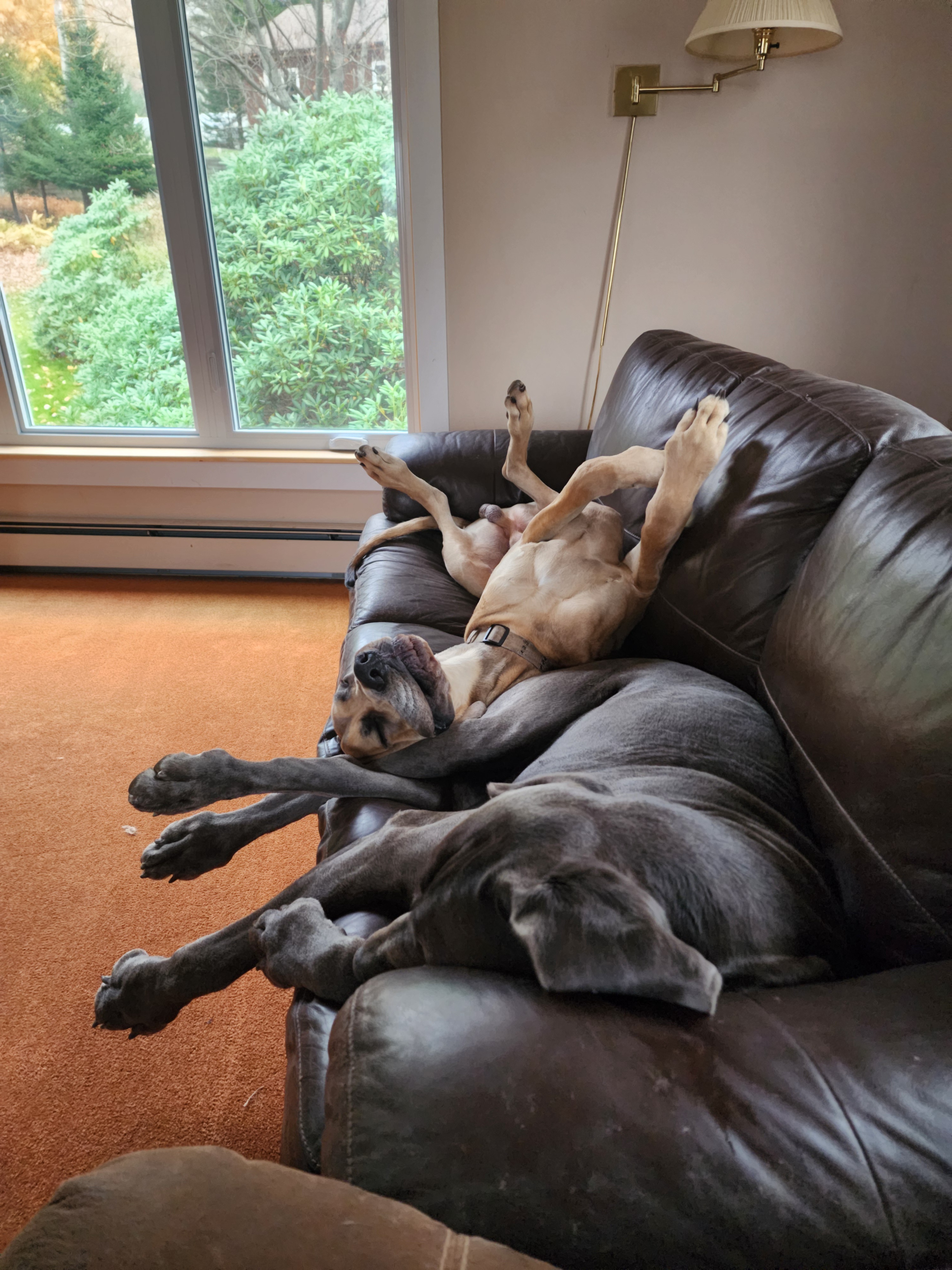 The Exhausted Squad