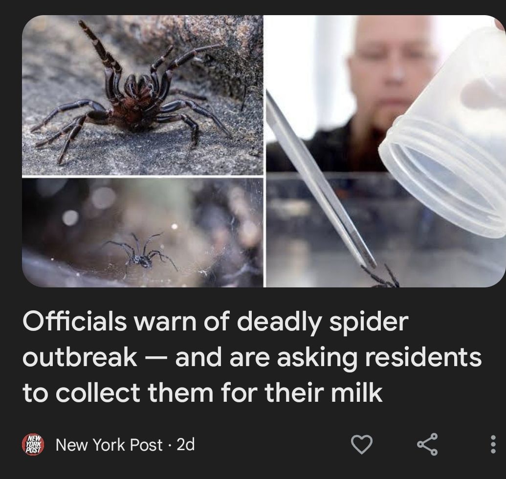 The World is Strange Right Now, But Seriously... What’s Happening?
