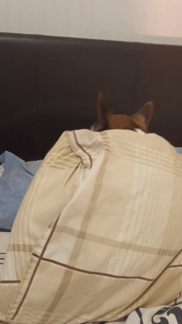 Getting Cozy and Comfortable