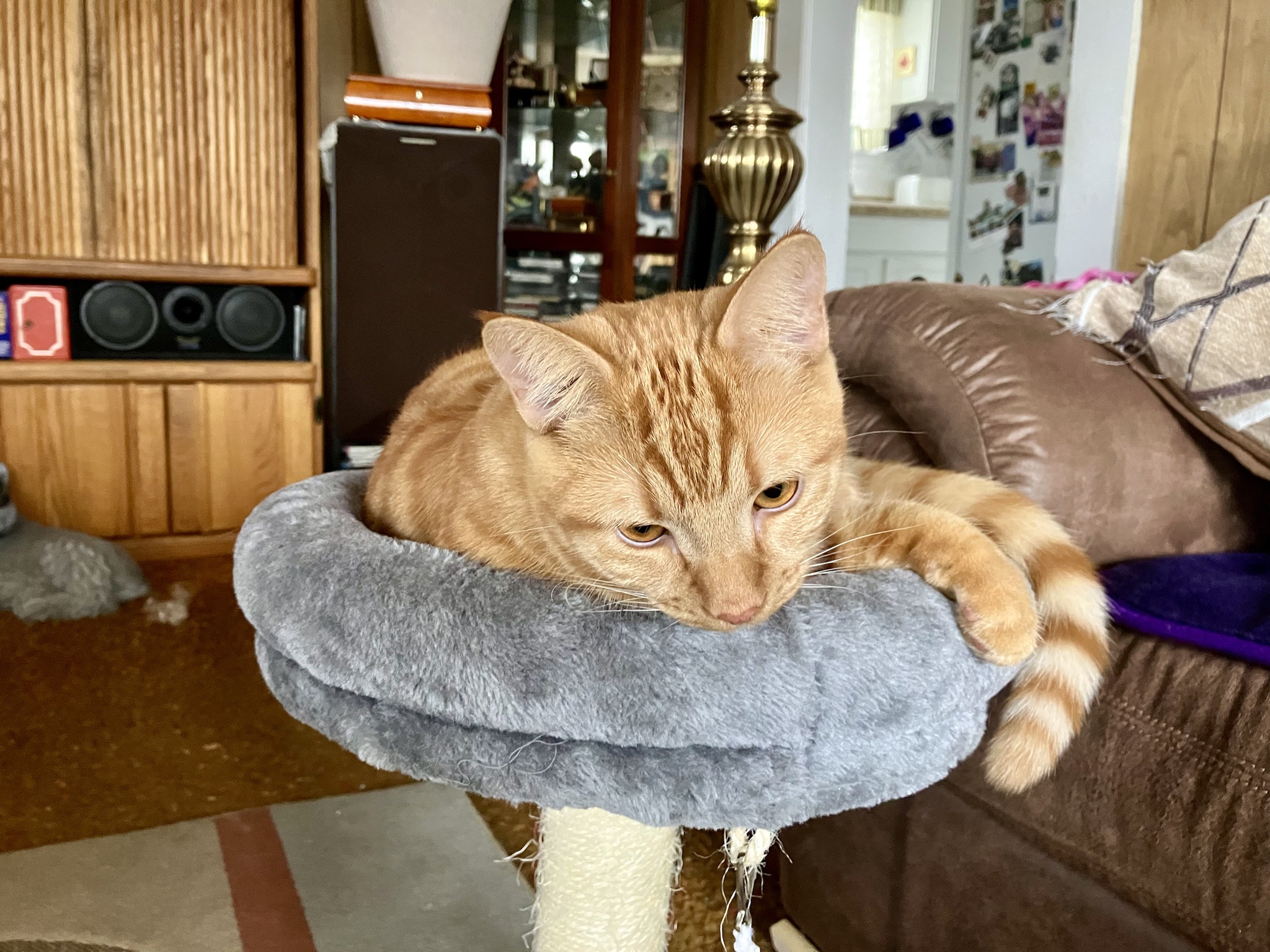 Aubrey's Vibrant Orange Morning Vibes