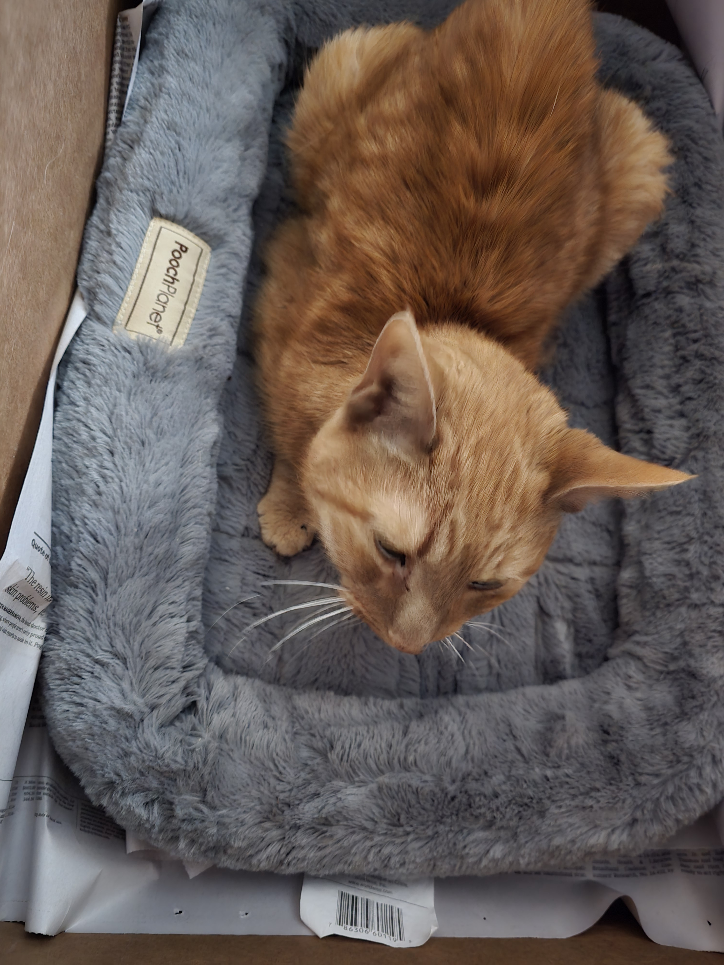 Tig - A Special Note for Reddit Visitors, Please Read!