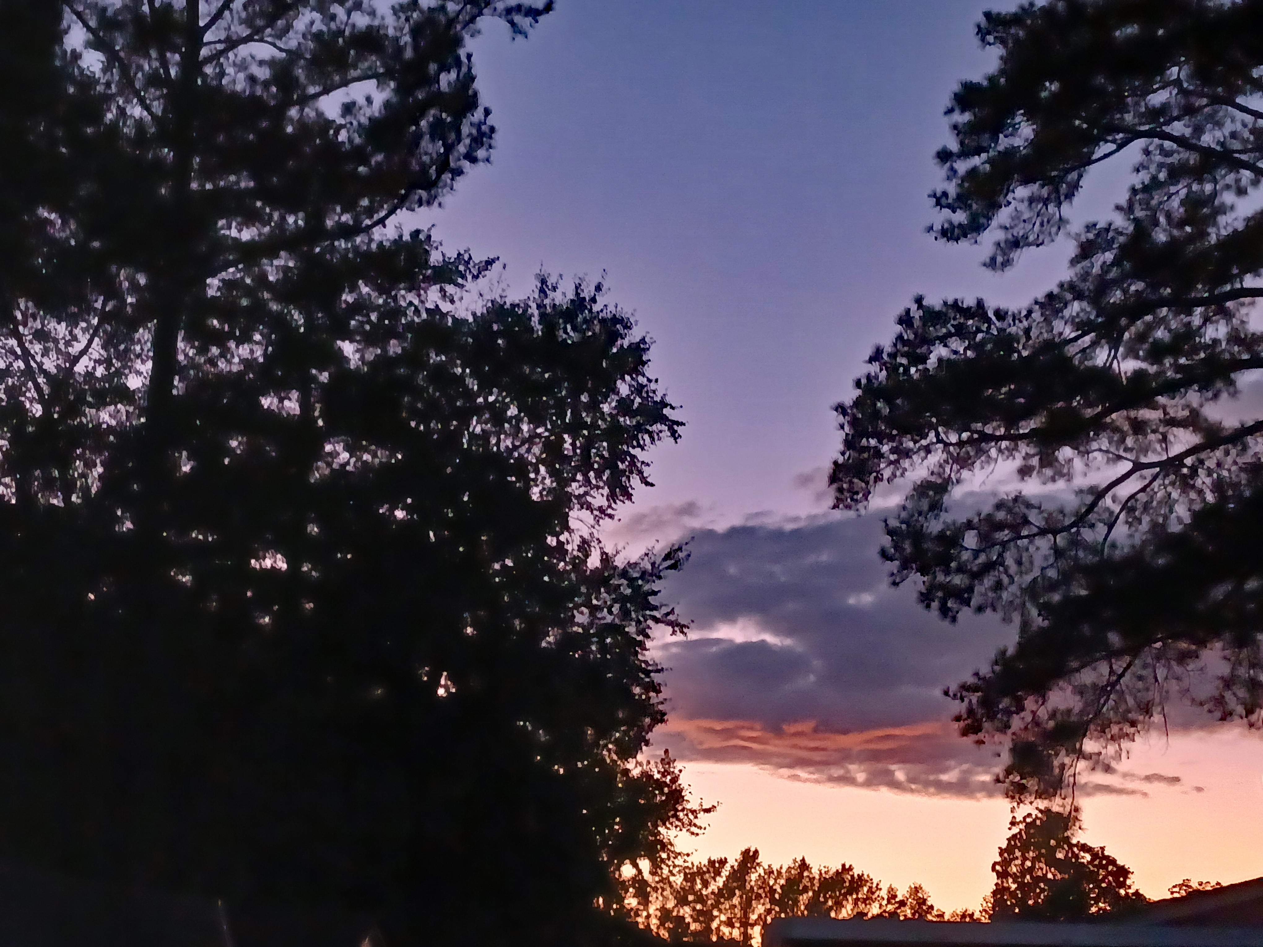 Captivating Evening Sky Moments
