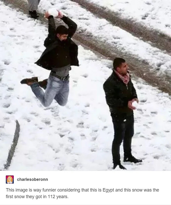 It's Time for a Snowball Fight!